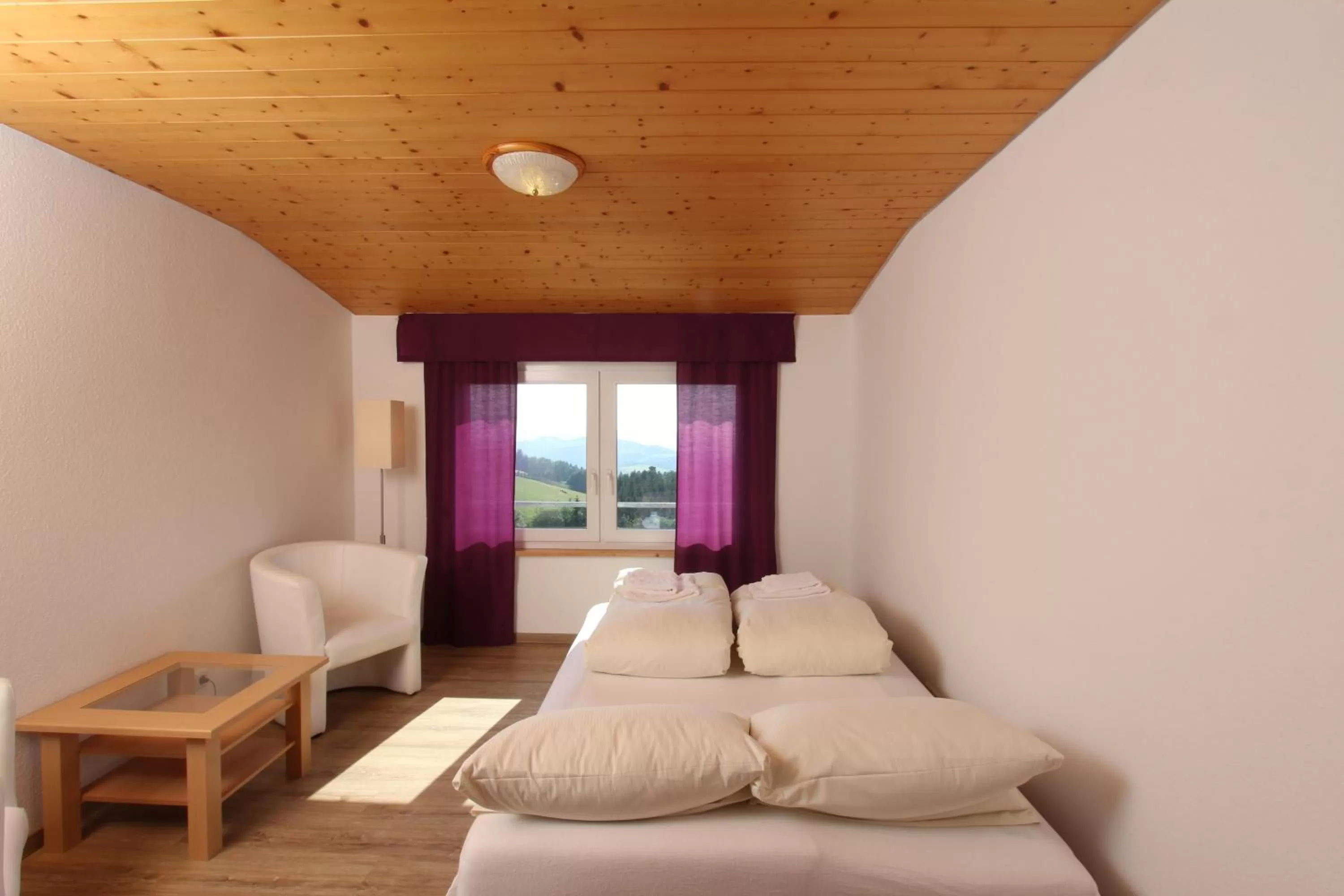 Living room in Hotel Lowen by Mastiff