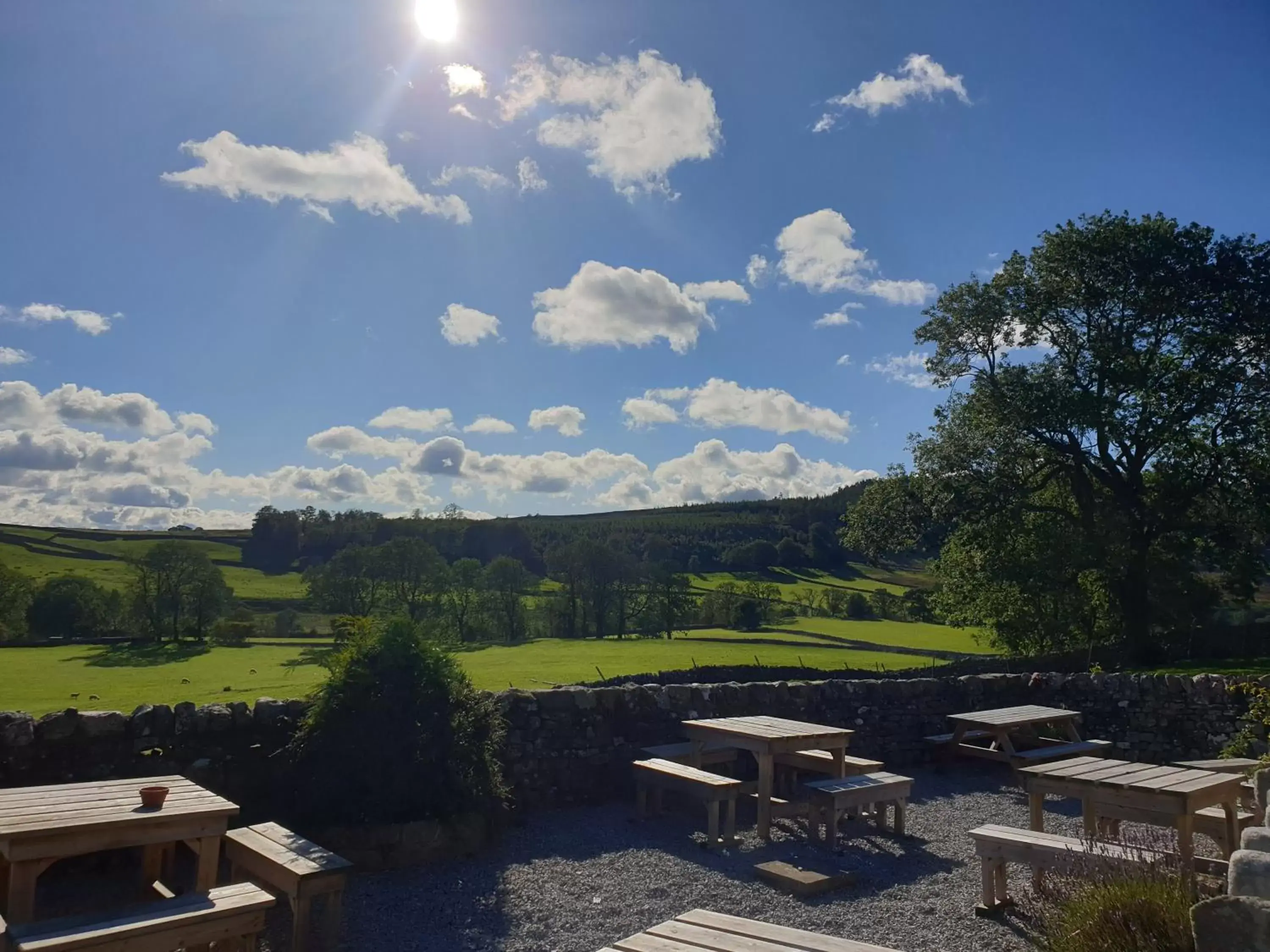 Garden in The New Inn