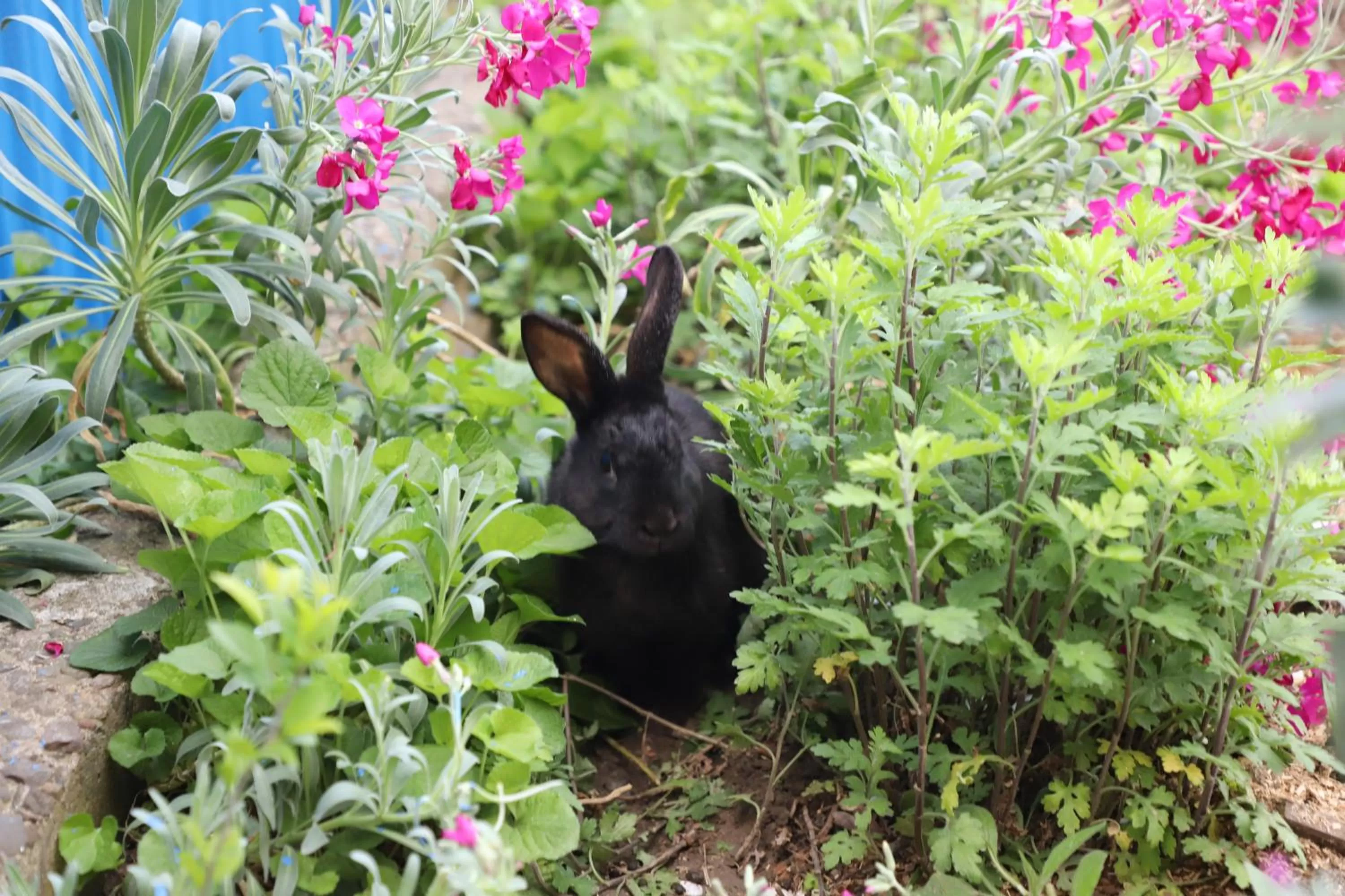 Day in Hotel Hollywood