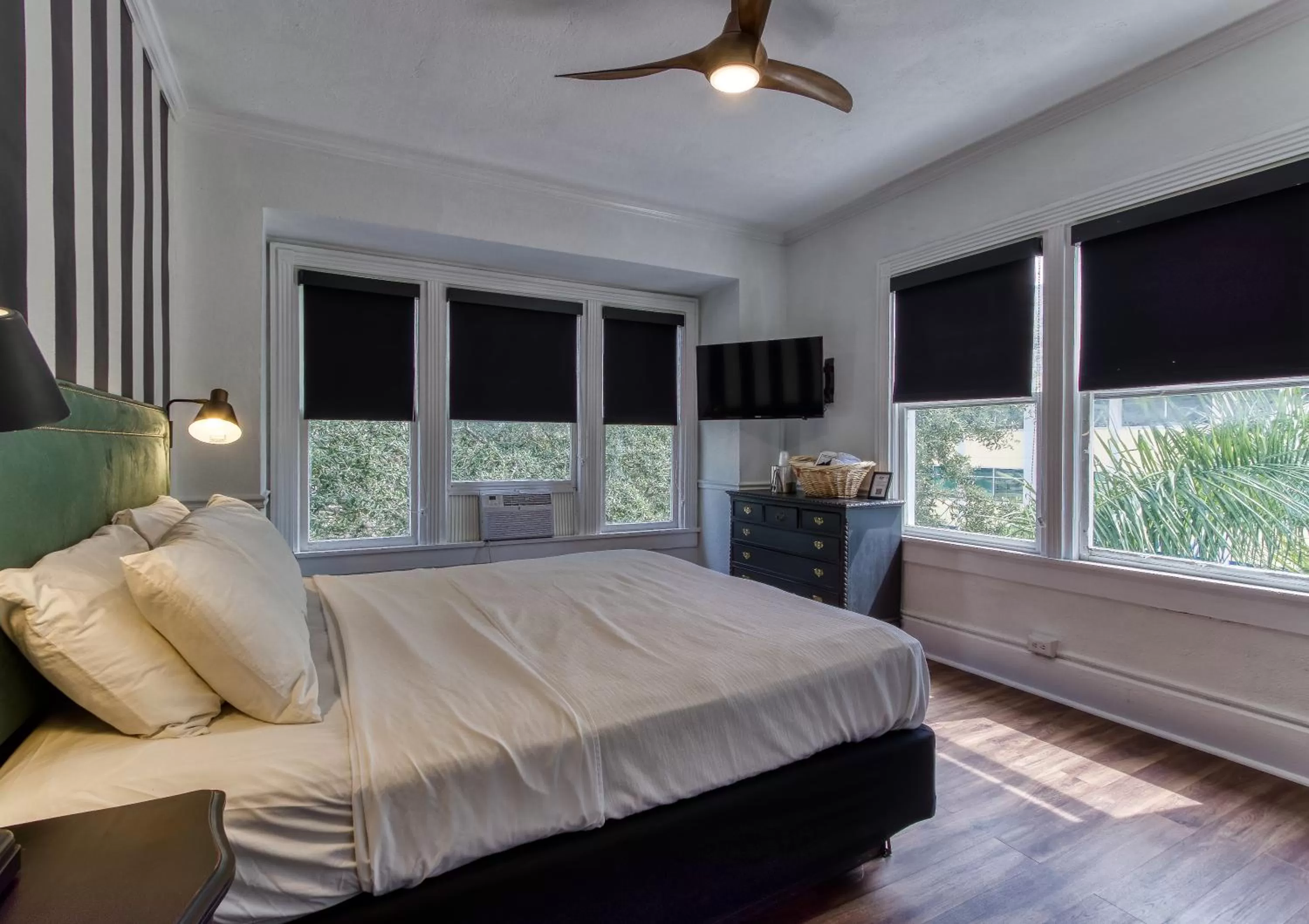 Photo of the whole room in New Hotel Collection Downtown St Pete