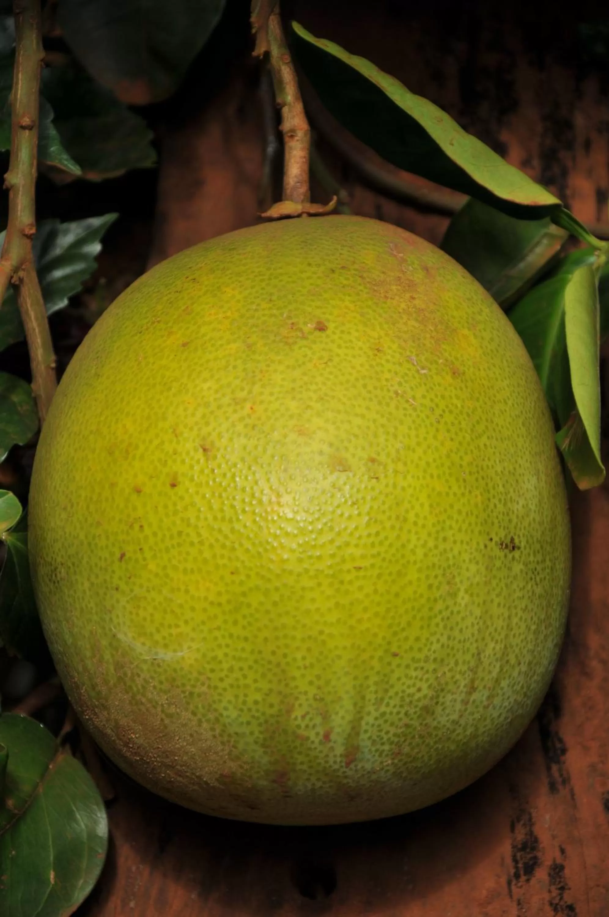 New Court View Hotel