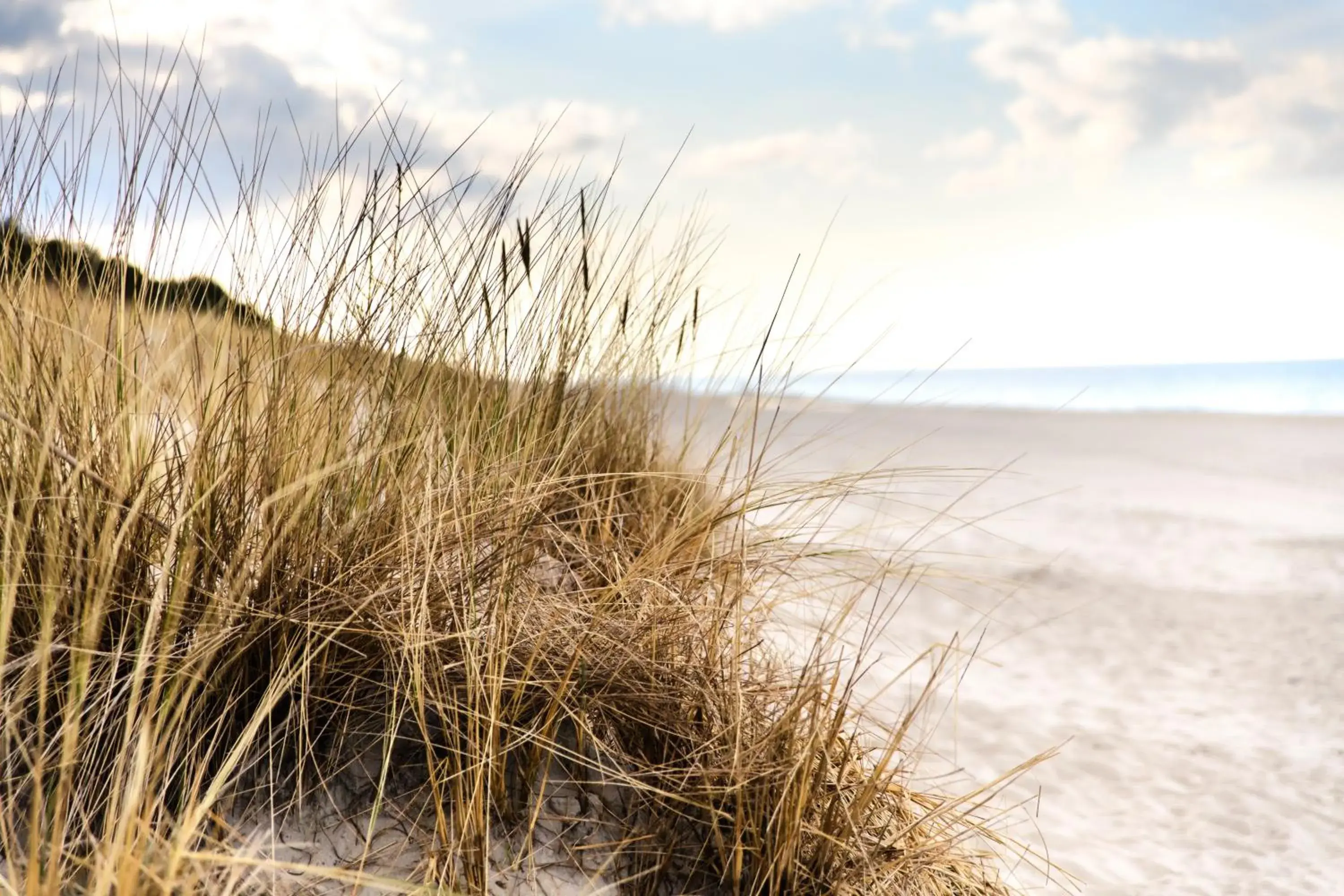 Beach, Natural Landscape in Best Western Hotel Jurata