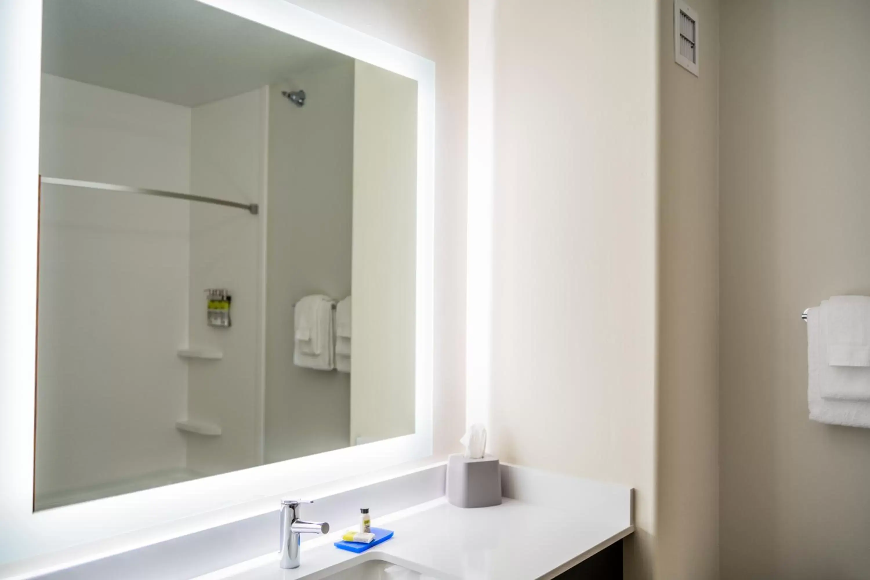 Bathroom in Holiday Inn Express & Suites Custer-Mt Rushmore