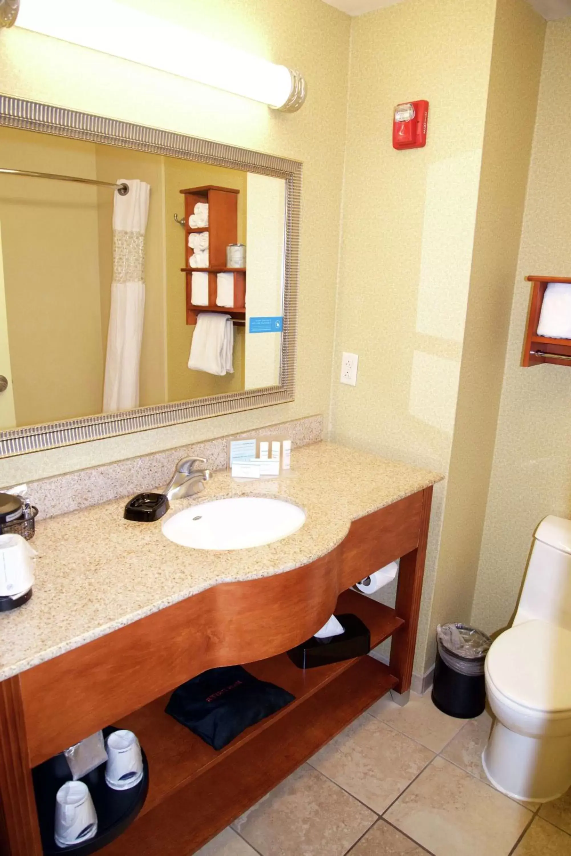 Bathroom in Hampton Inn & Suites Moline-Quad City Int'l Aprt