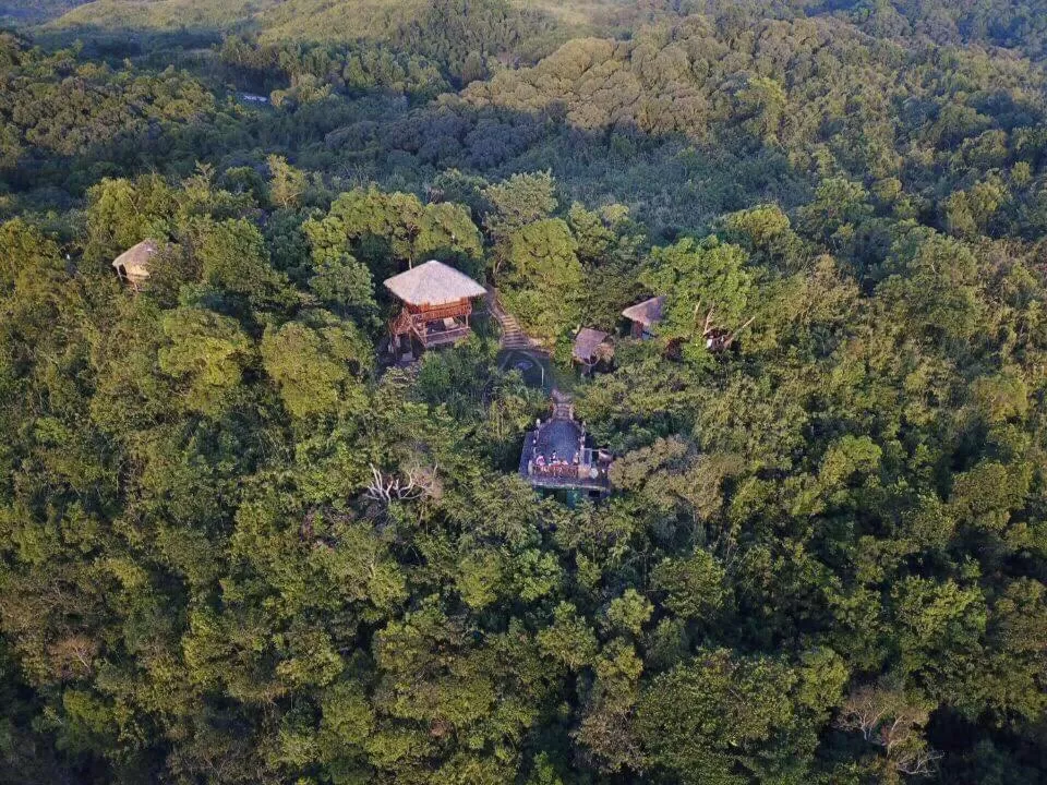 Sanctuaria Treehouses Busuanga