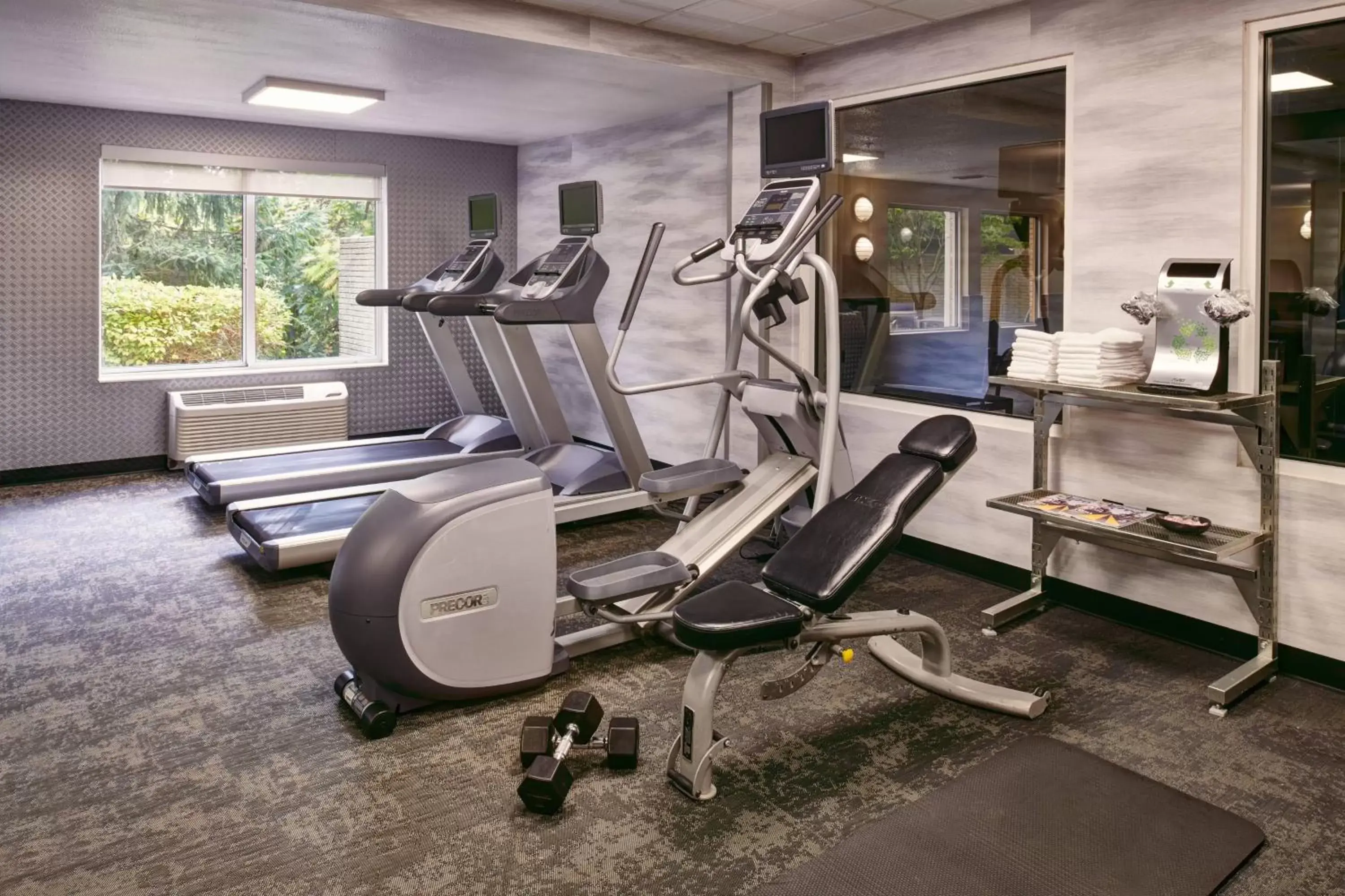 Fitness centre/facilities, Fitness Center/Facilities in Fairfield Inn & Suites Detroit Livonia