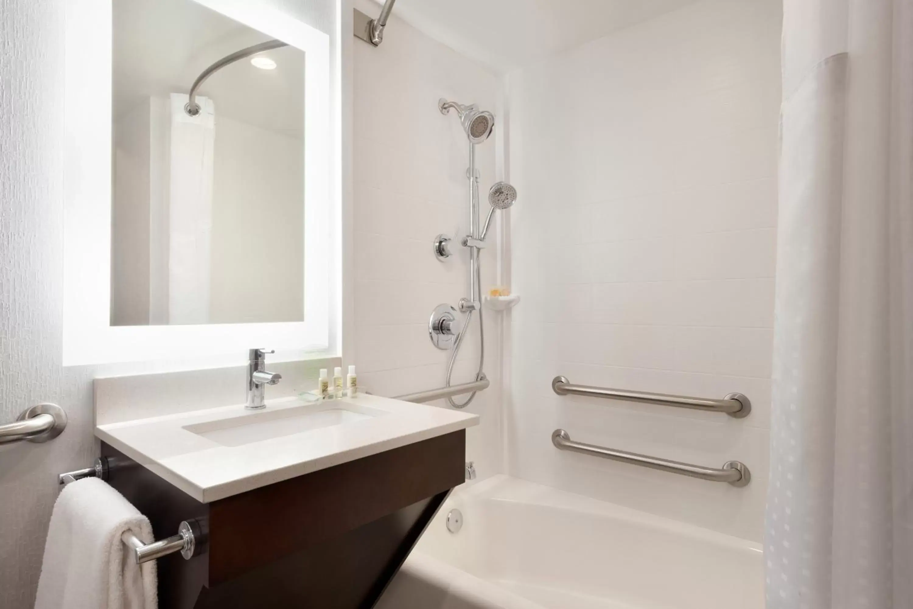 Bathroom in Holiday Inn Rock Island-Quad Cities, an IHG Hotel