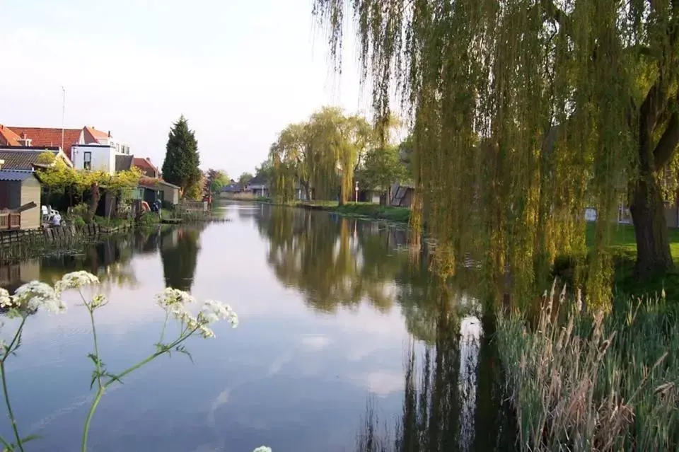 Natural landscape in Boutique Hotel Opus One