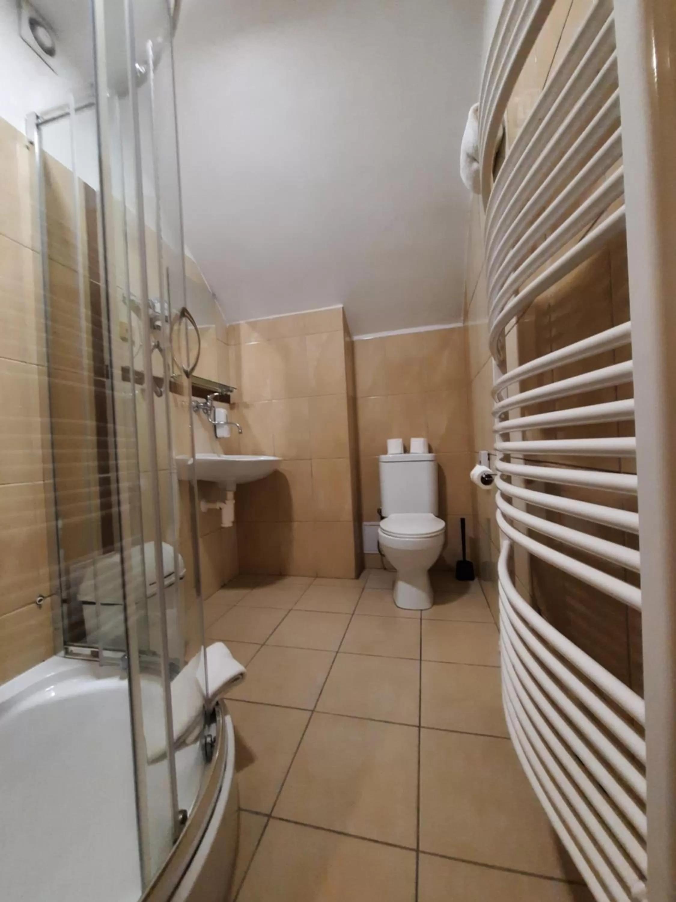 Shower in Hotel Boršičanka