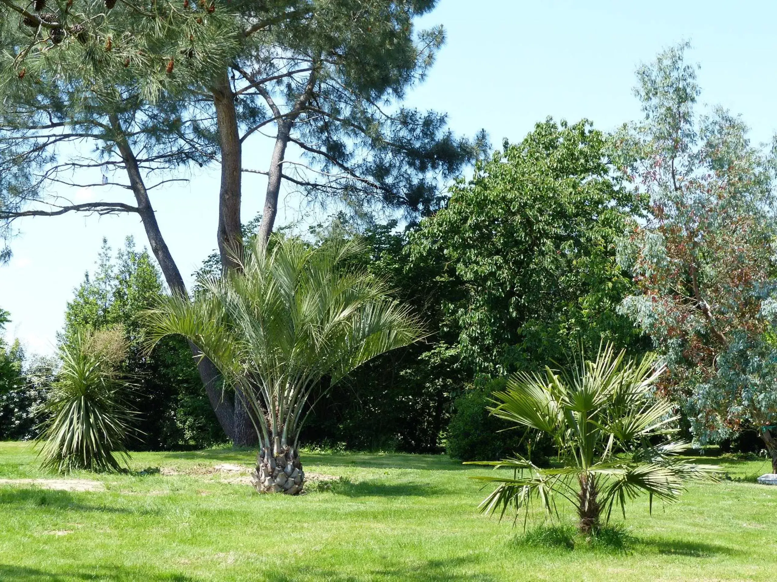 Property building, Garden in Les Terrasses des Mimosas