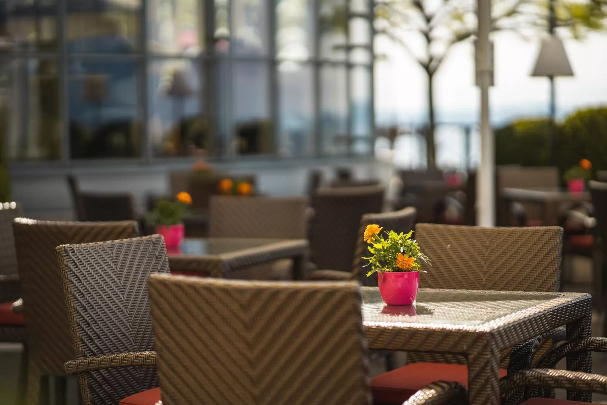 Restaurant/places to eat in Beau Rivage Hotel