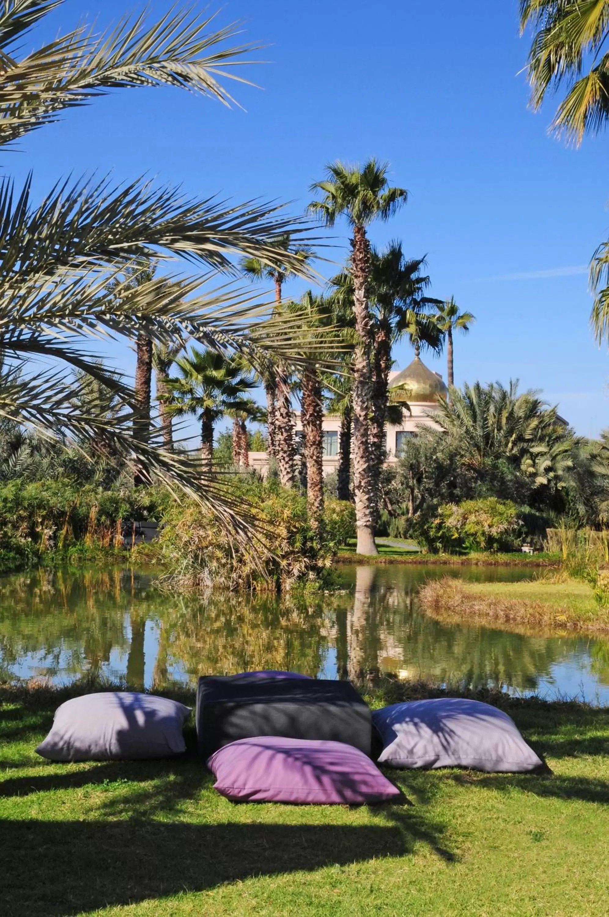 Garden in Palais Namaskar