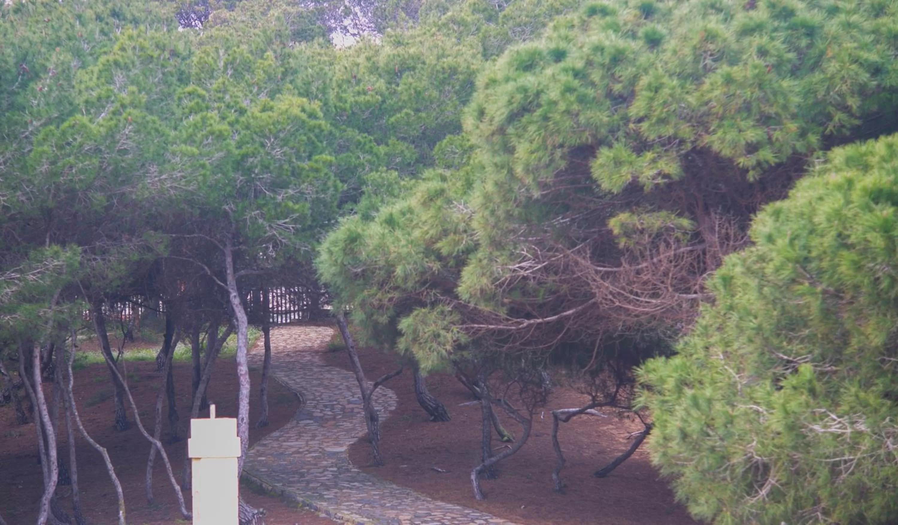 Children play ground in Hotel ParqueMar