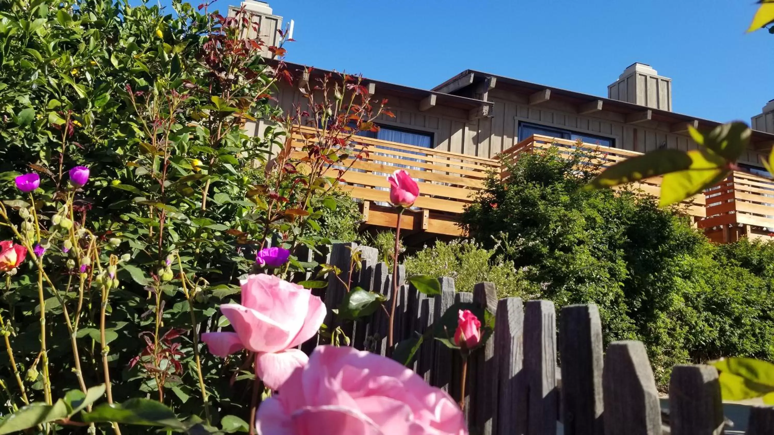 Property Building in Carmel Valley Lodge