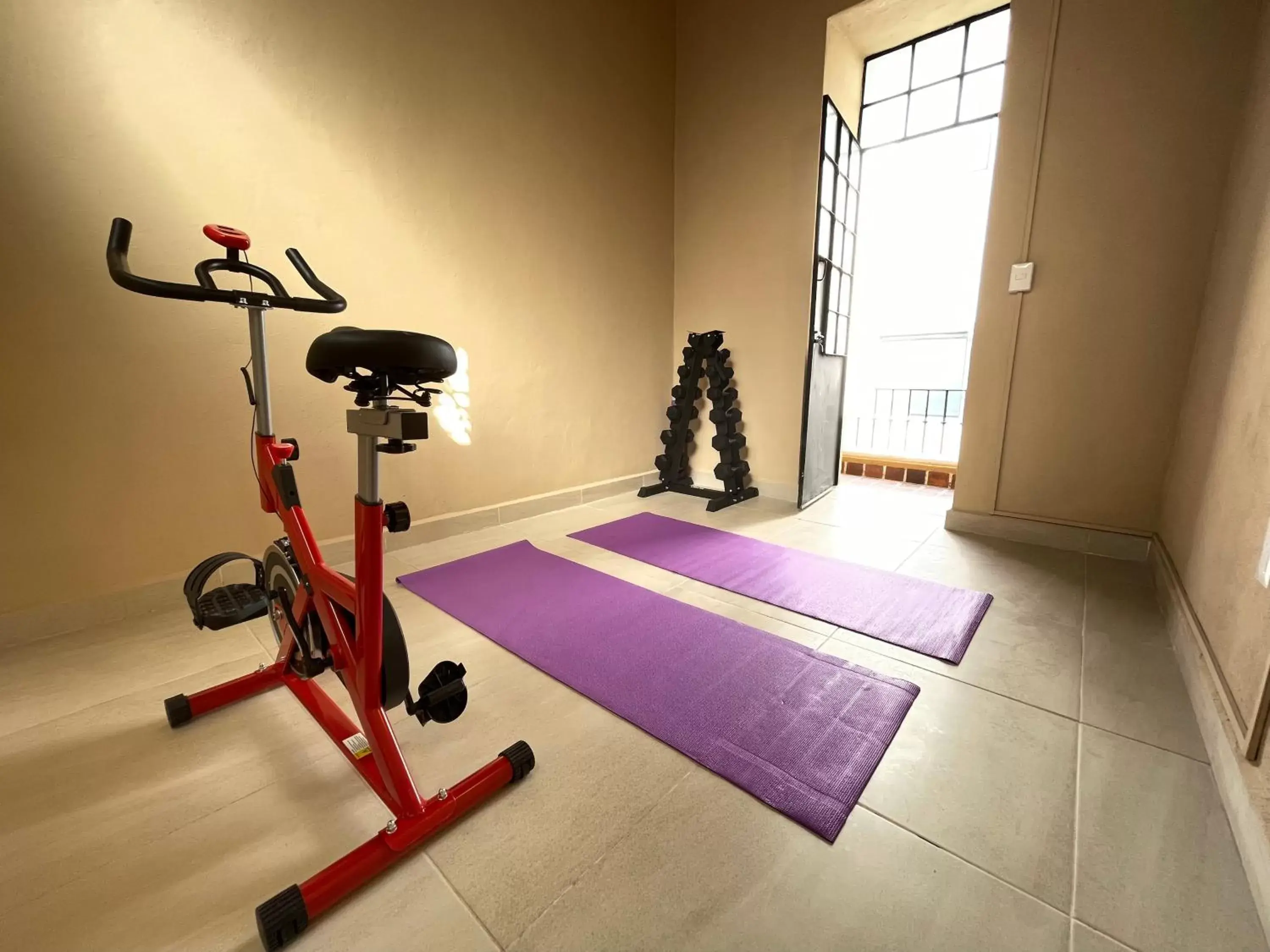 Fitness centre/facilities, Fitness Center/Facilities in Colmena Centro