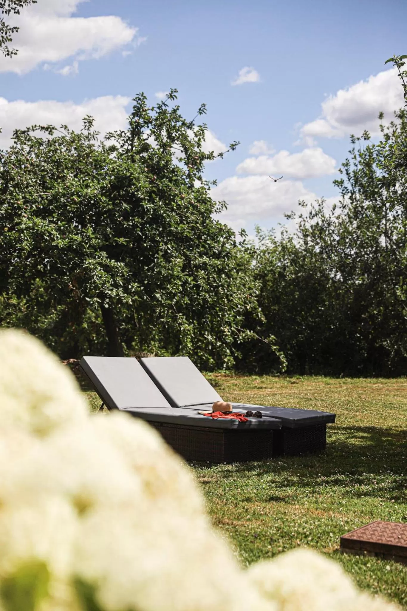 Garden in Domaine de Bellevue, The Originals Relais