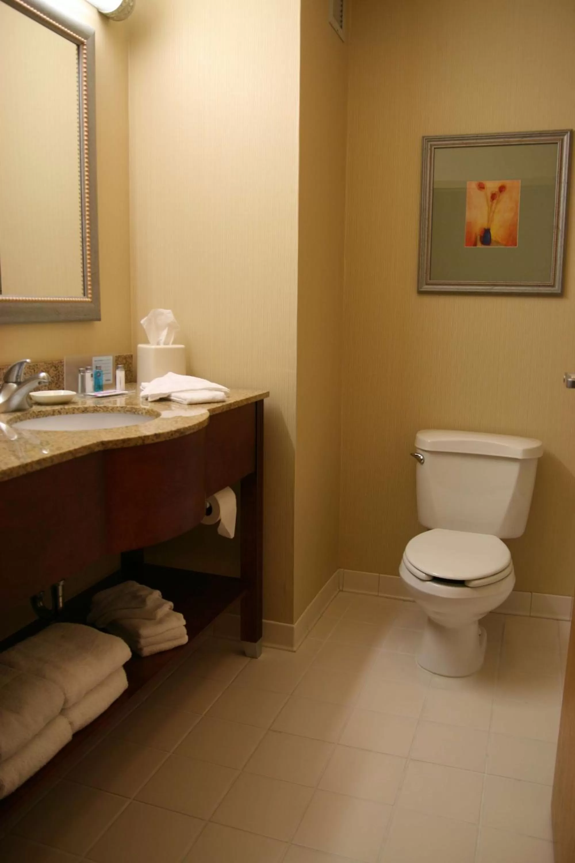 Bathroom in Hampton Inn White River Junction