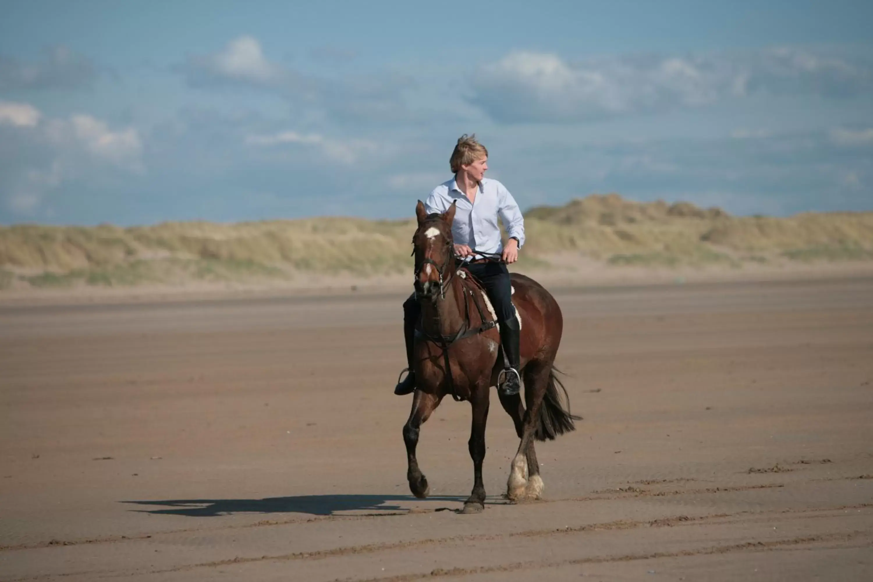Beach, Horseback Riding in Hollamoor Farm