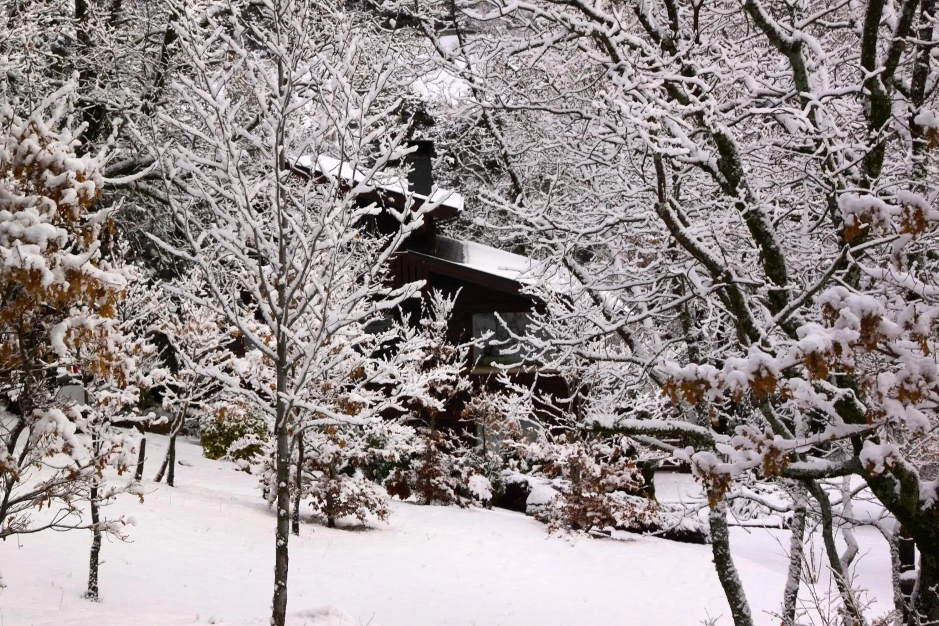 Neighbourhood, Winter in Hotel Rural Las Rozuelas