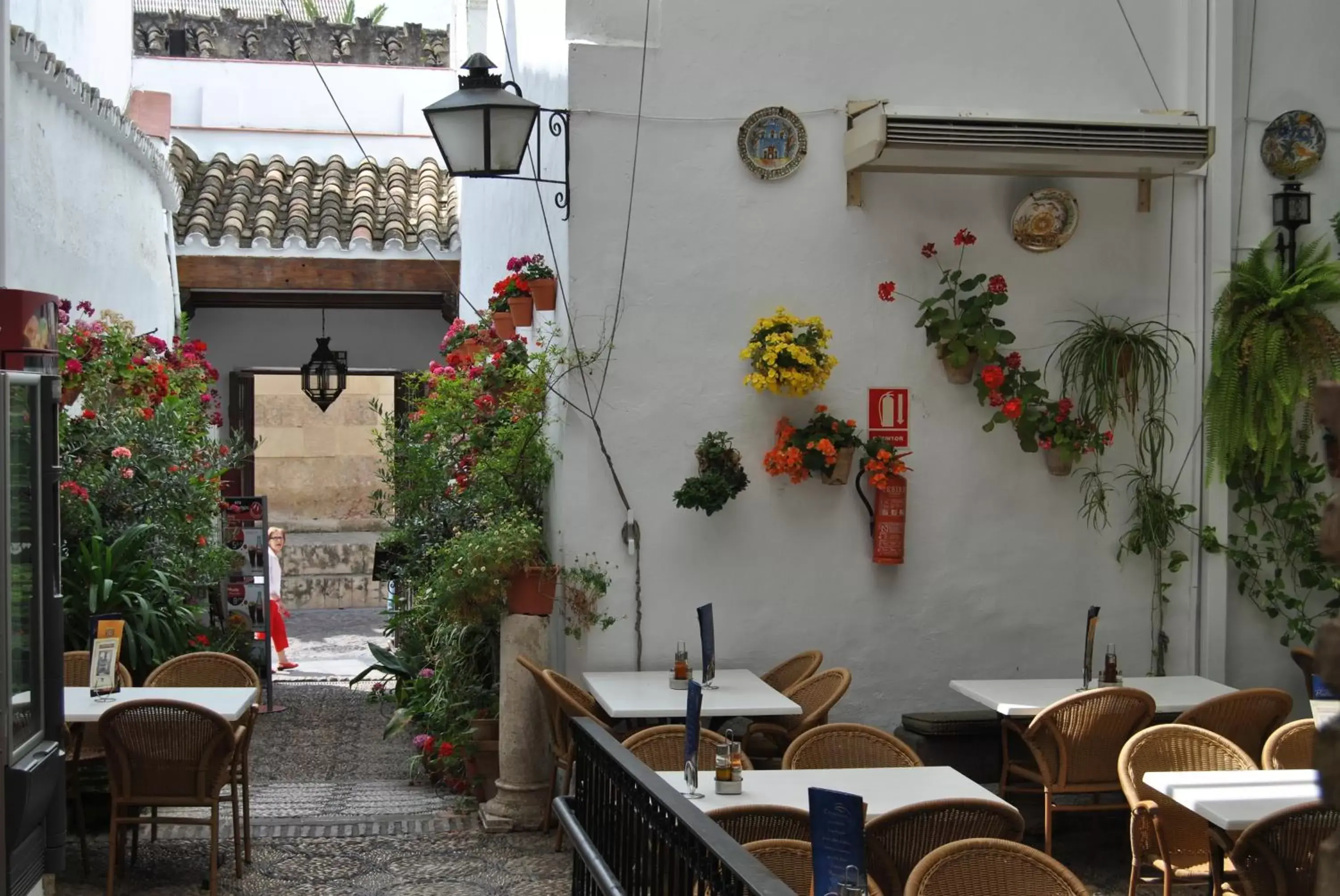 Restaurant/Places to Eat in Los Patios