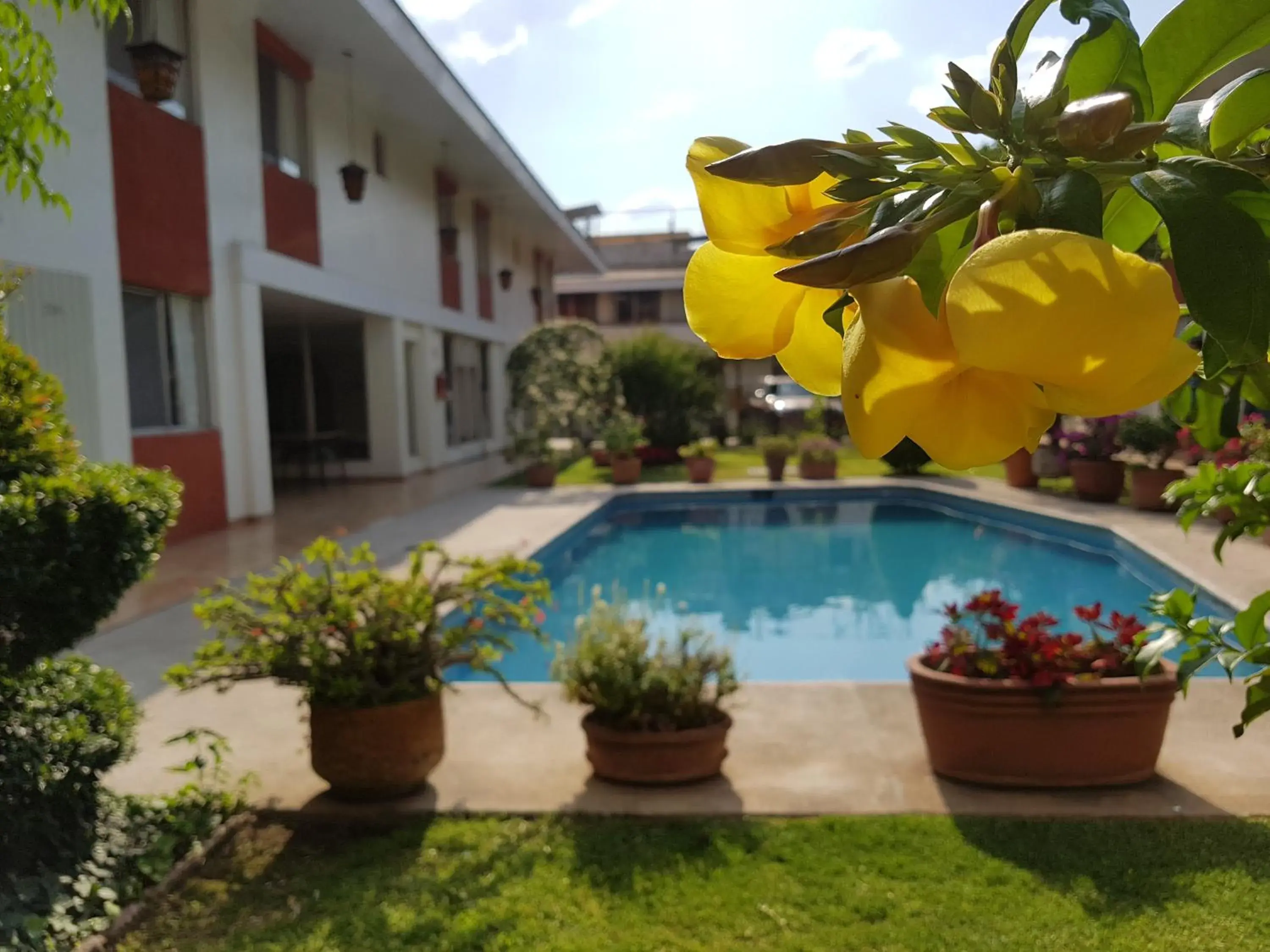 Patio, Swimming Pool in Hotel Isabel