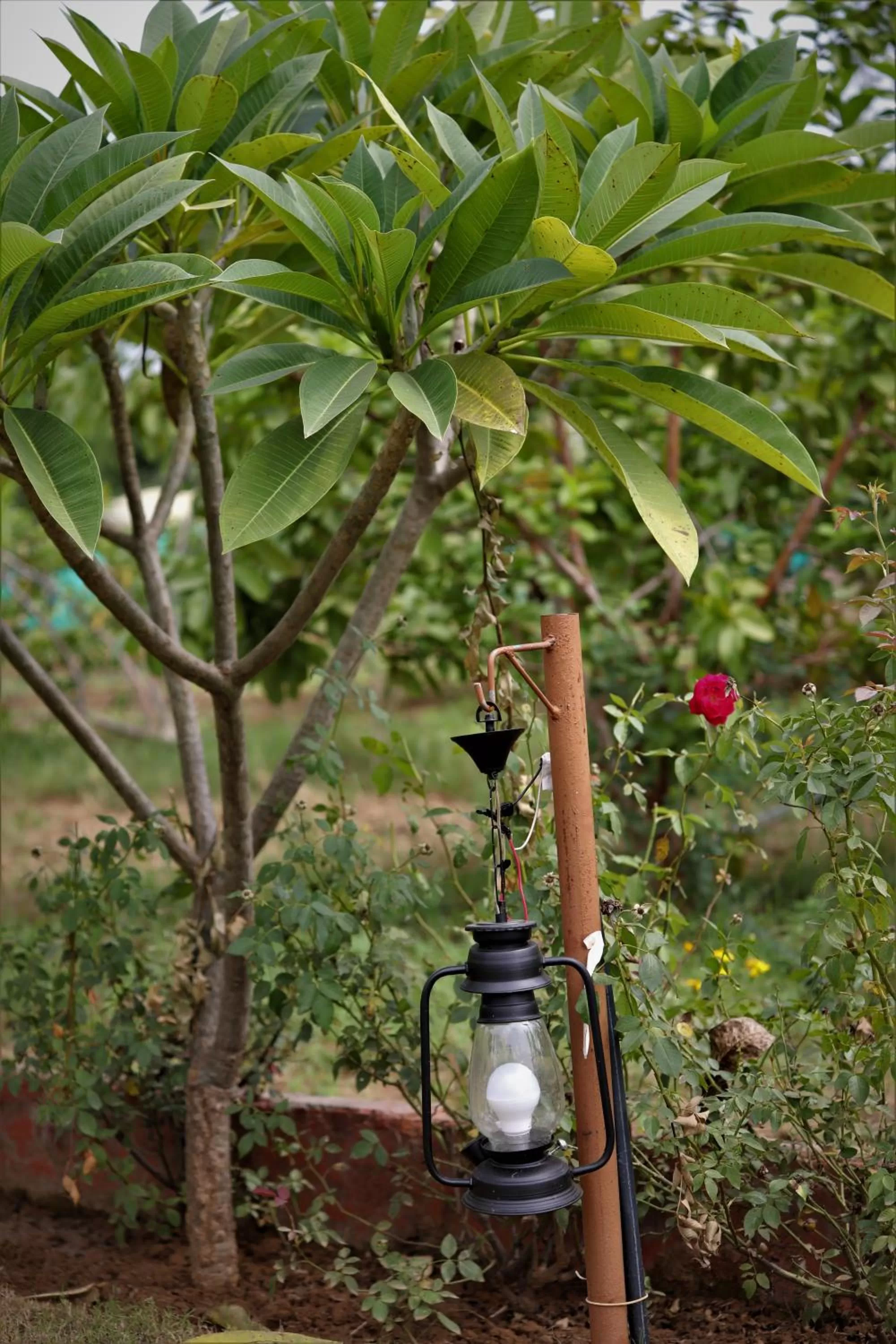 Camp Paridhi Ranthambhore, Homestay