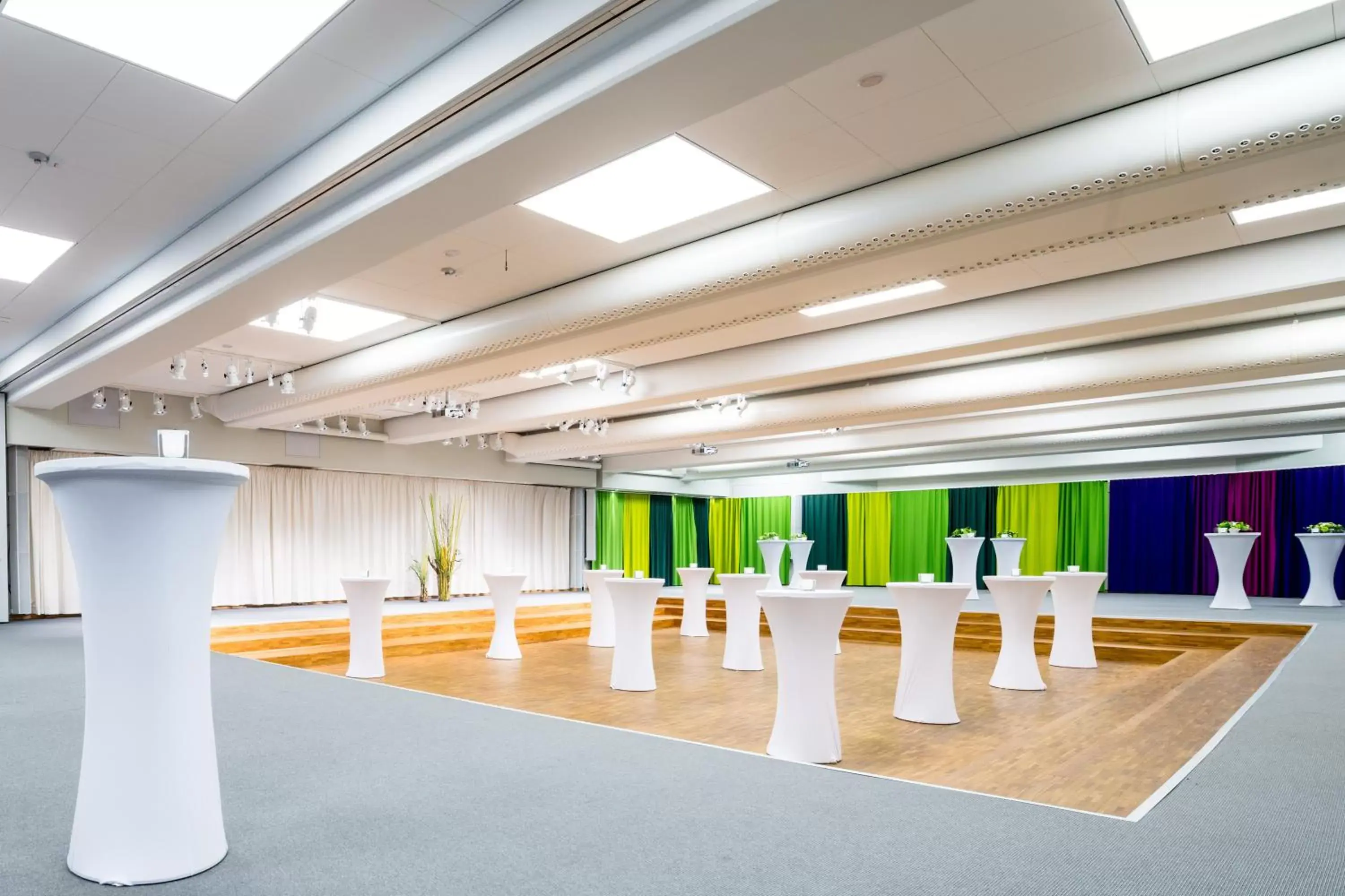 Banquet/Function facilities, Banquet Facilities in Hotel Birger Jarl