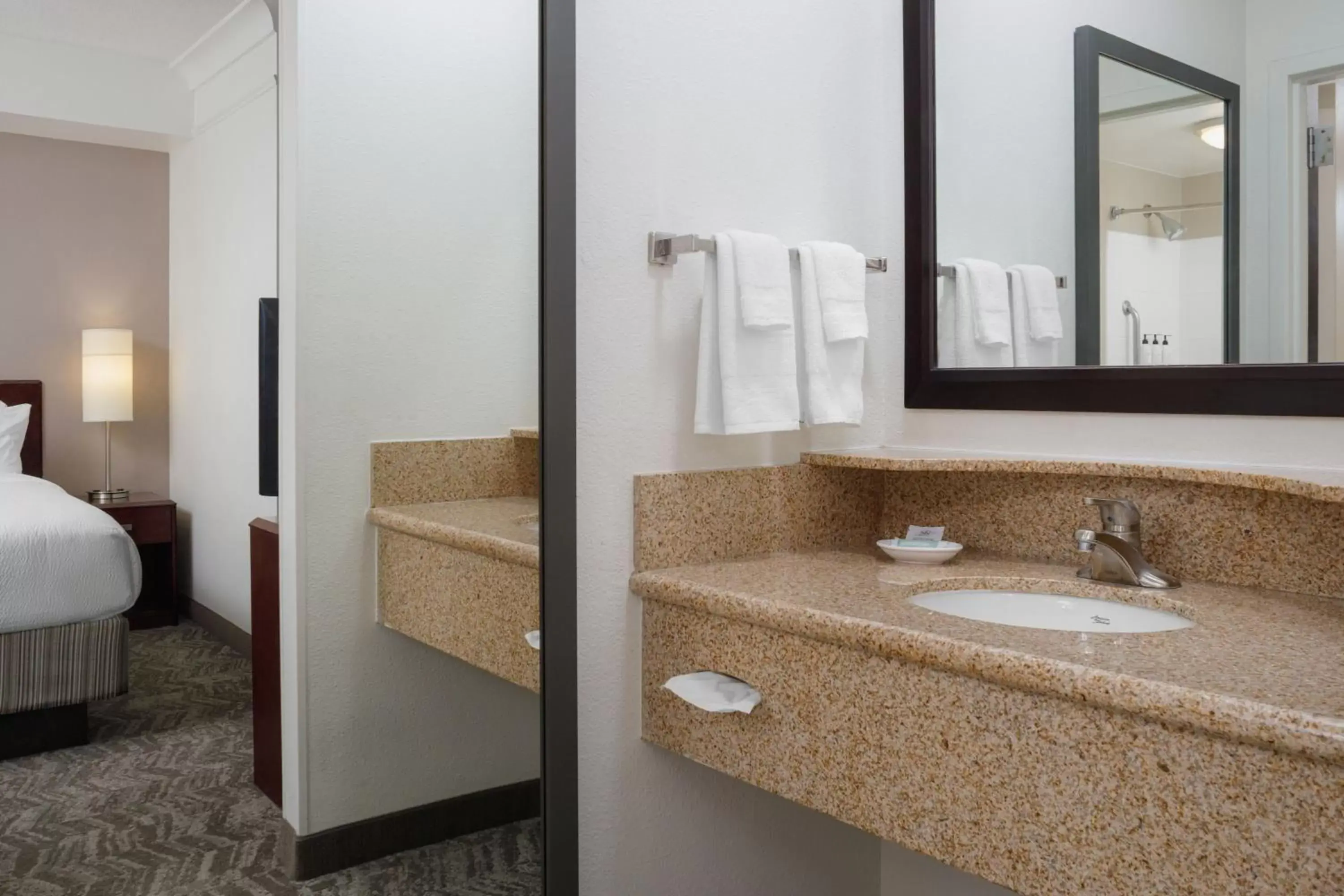 Photo of the whole room, Bathroom in SpringHill Suites Knoxville At Turkey Creek