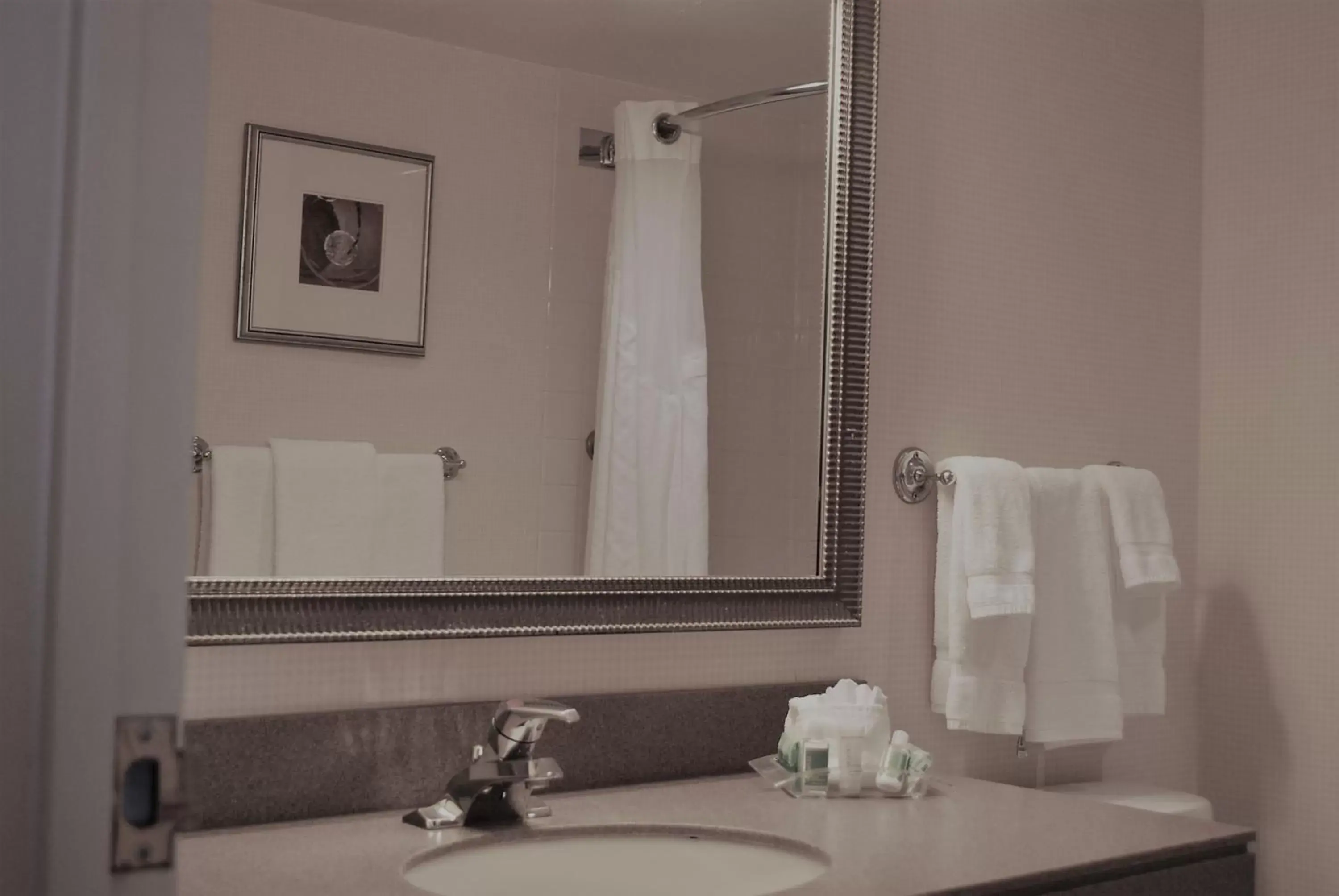 Standard King Room in Holiday Inn Laval Montreal by IHG Standard King Room in Holiday Inn Laval Montreal by IHG