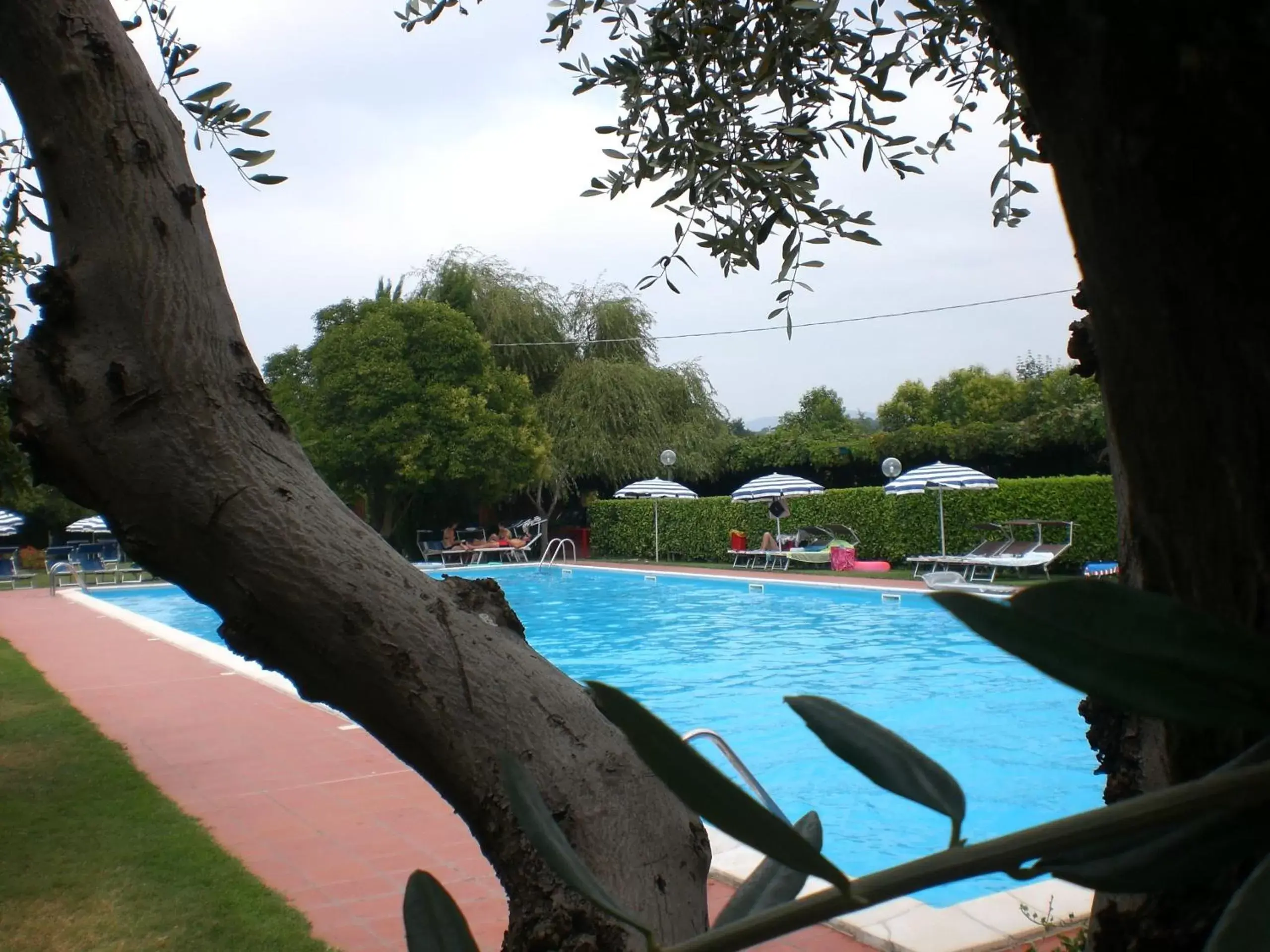 Swimming Pool in La Fattoria Apartments