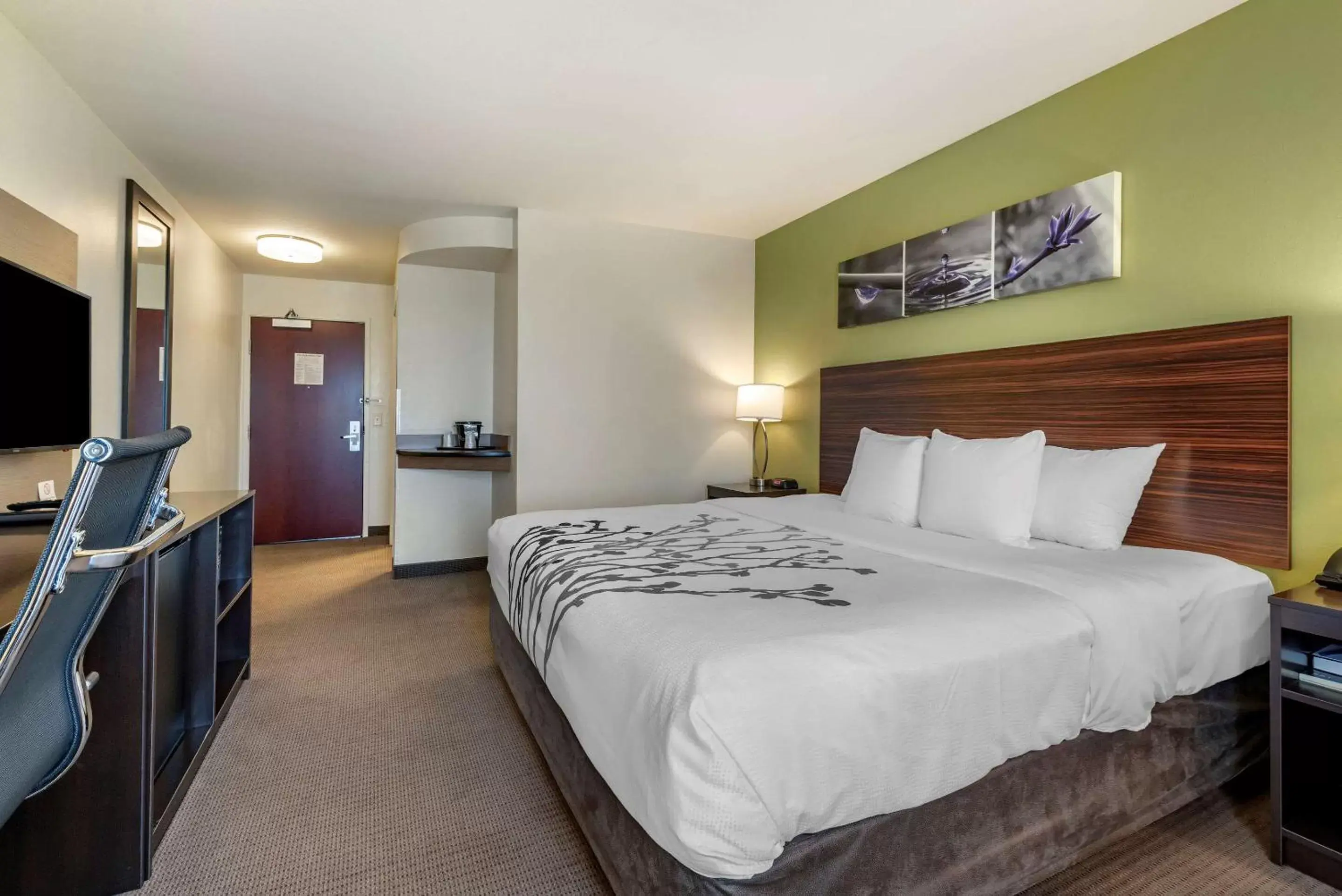 Bedroom, Bed in Sleep Inn & Suites Oakley I-70