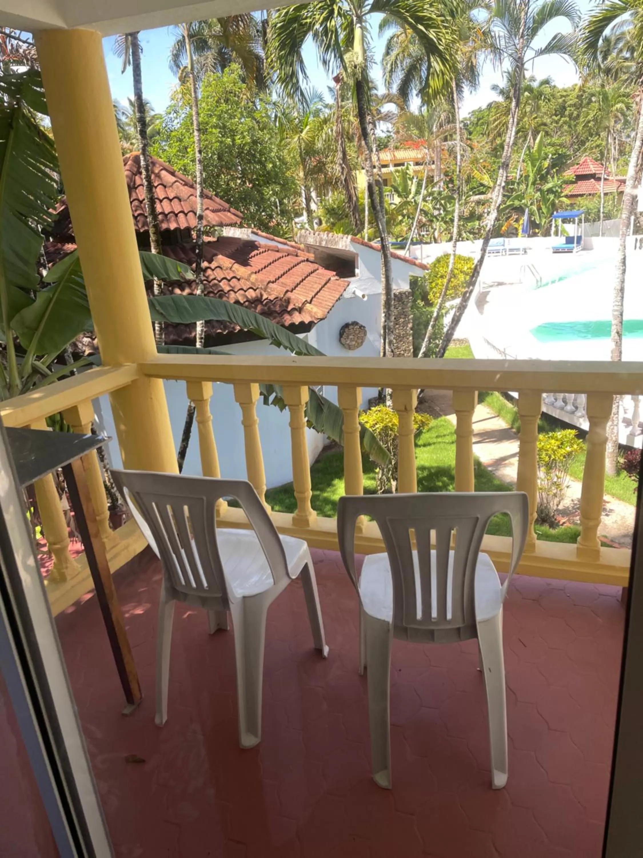 Pool View in Palms Lounge Cabarete