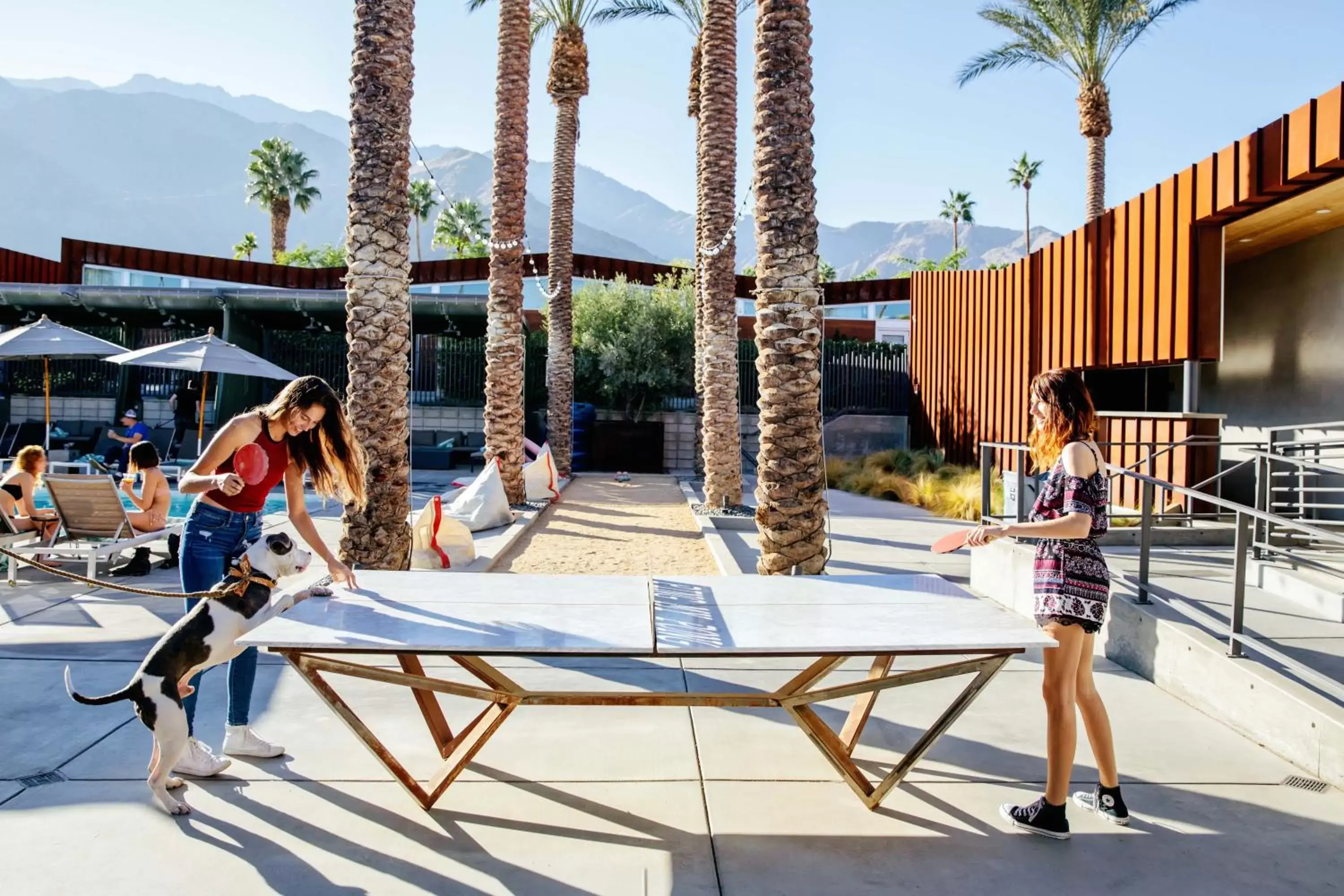 Table tennis in ARRIVE Palm Springs - Adults Only