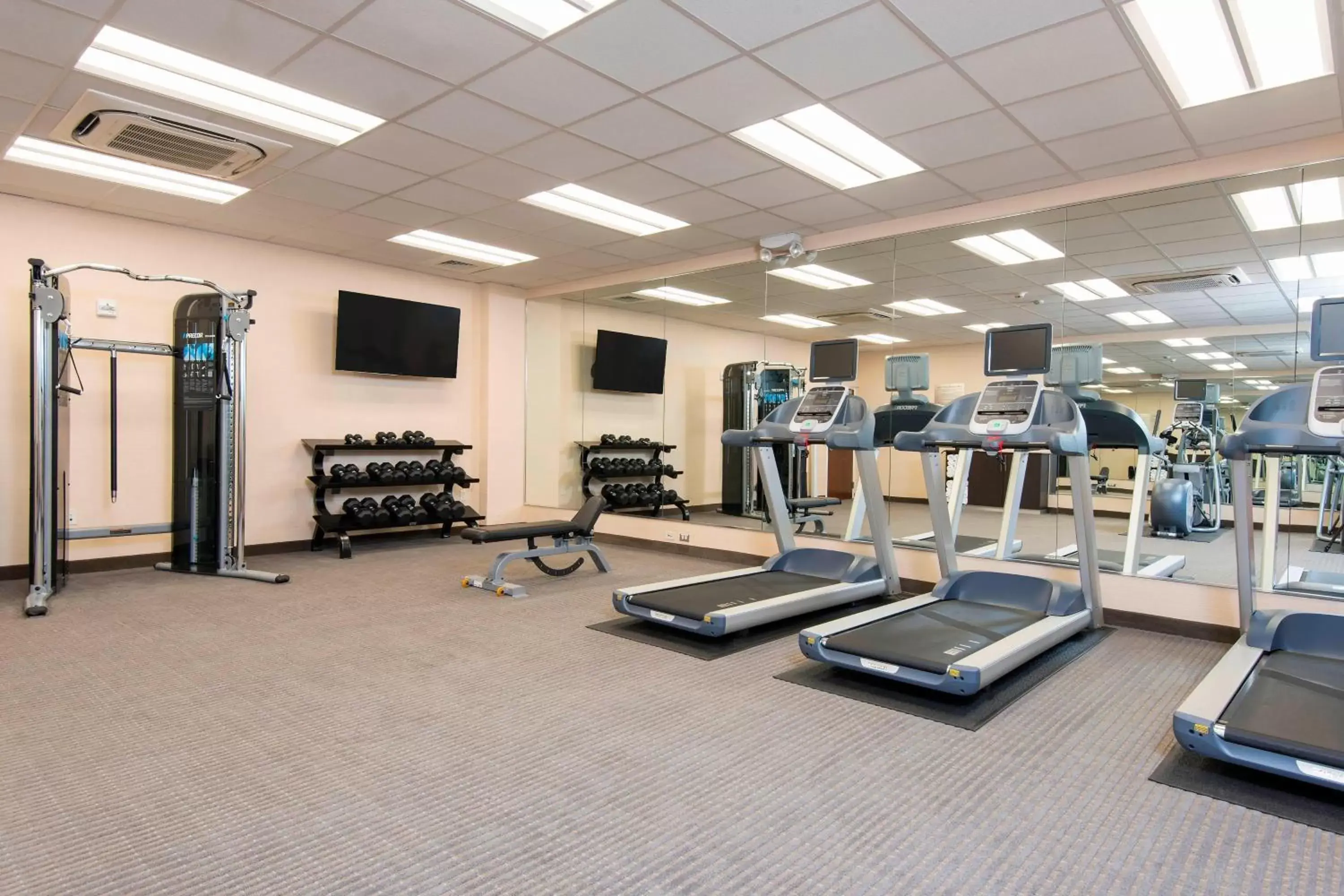 Fitness centre/facilities, Fitness Center/Facilities in Fairfield Inn & Suites by Marriott Tampa Westshore/Airport