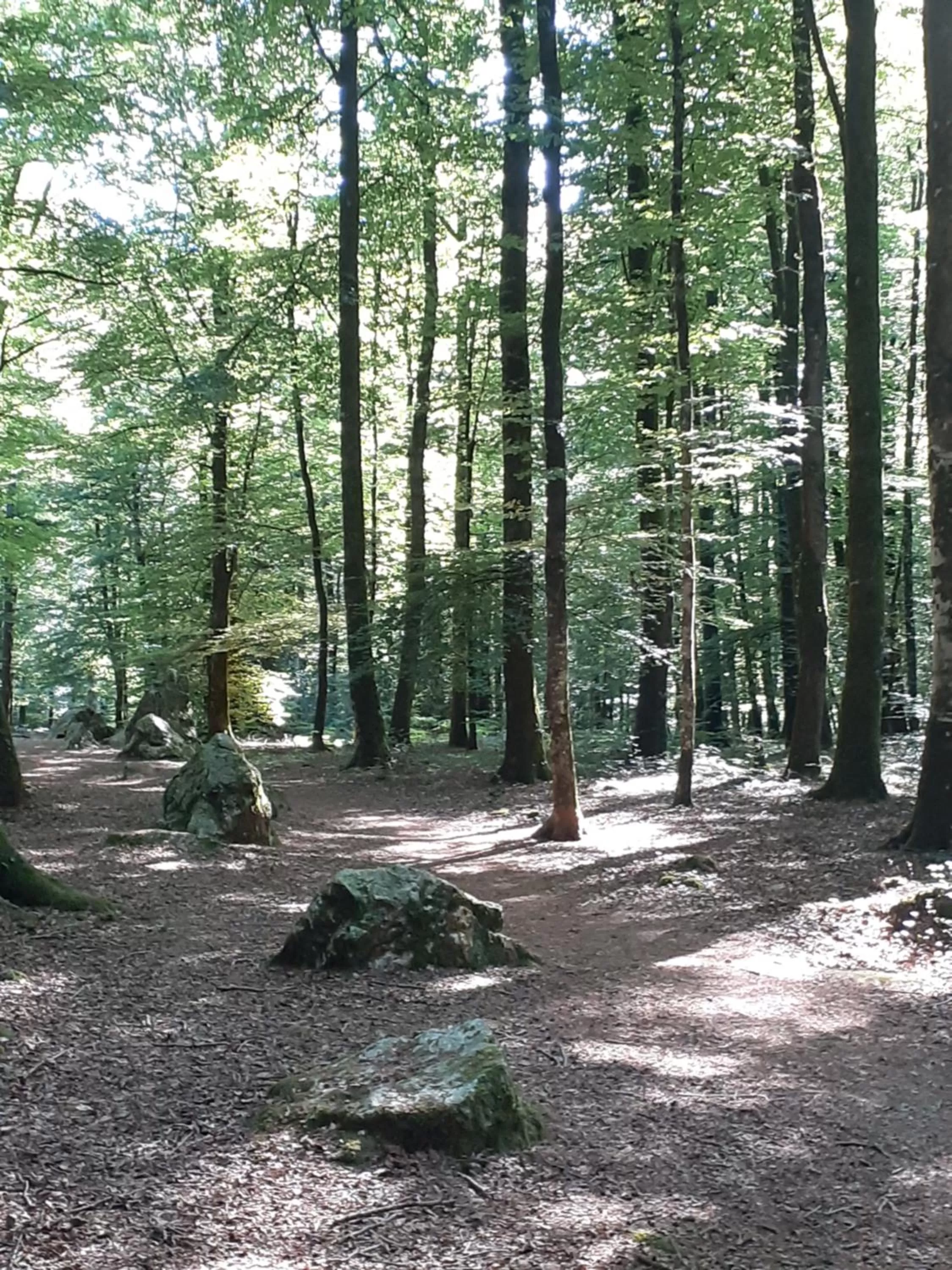 Entertainment in Best Western Hôtel Des Voyageurs