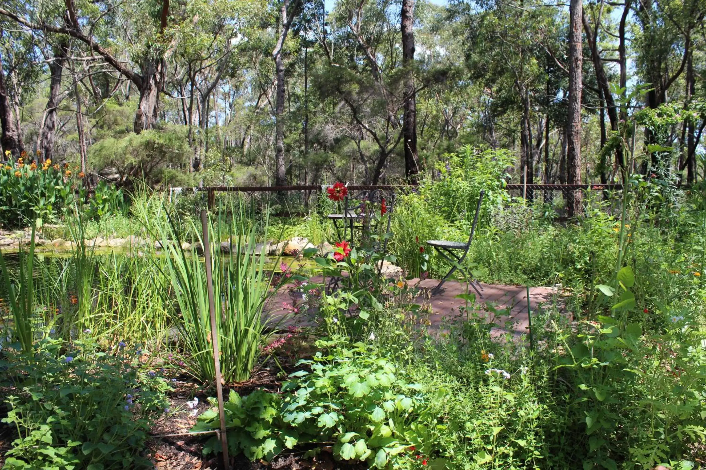 Garden in Storey Grange