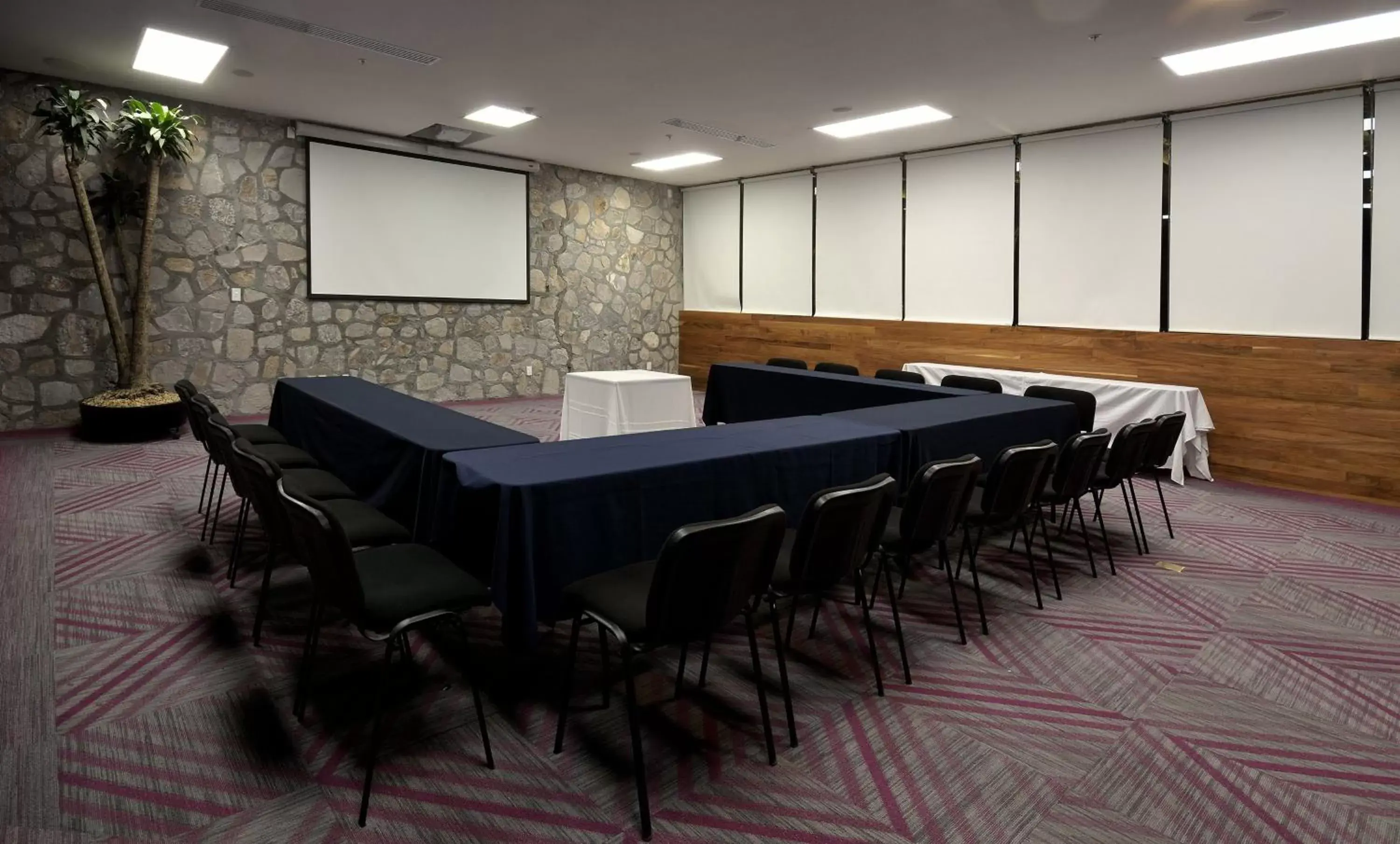 Meeting/conference room in Holiday Inn Express Pachuca, an IHG Hotel