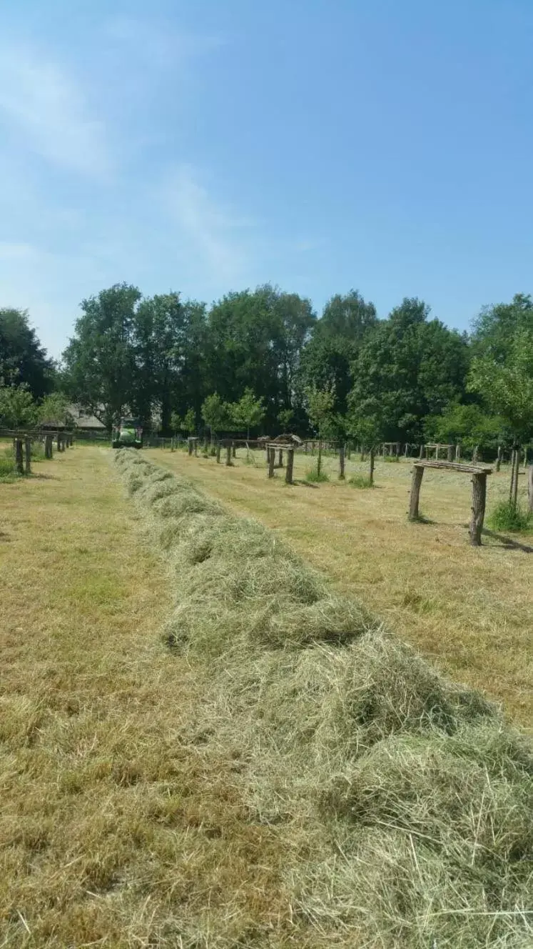 landgoed Groot Boerle