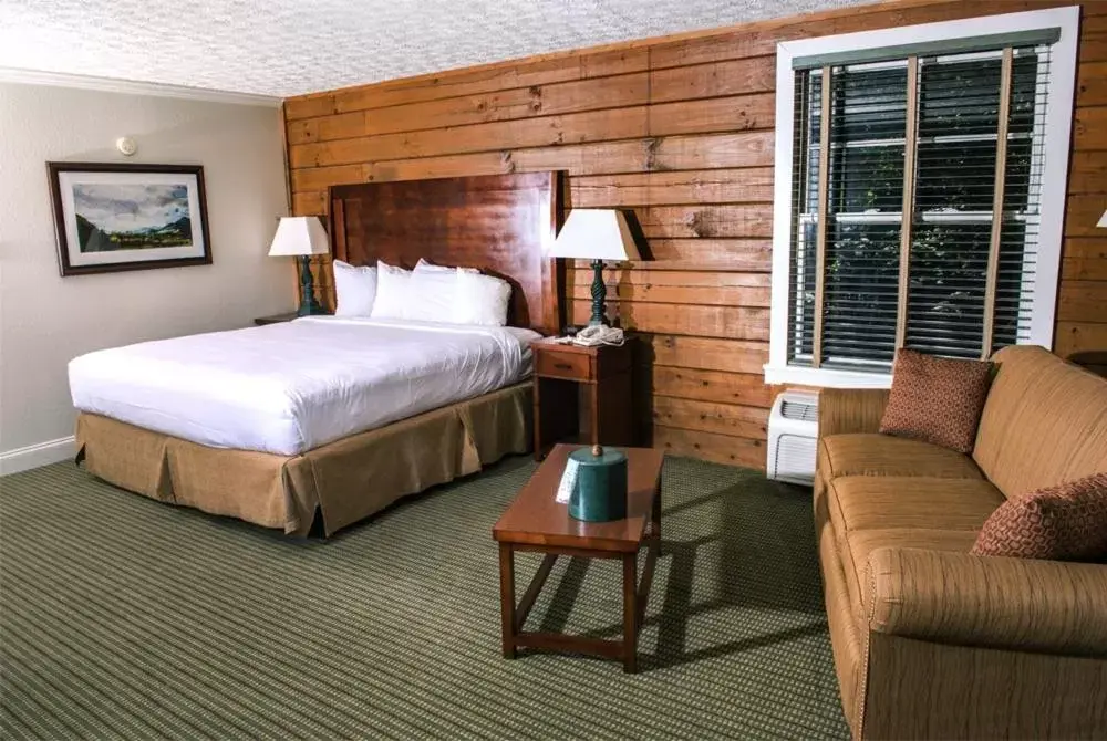 Photo of the whole room, Room Photo in Brasstown Valley Resort & Spa