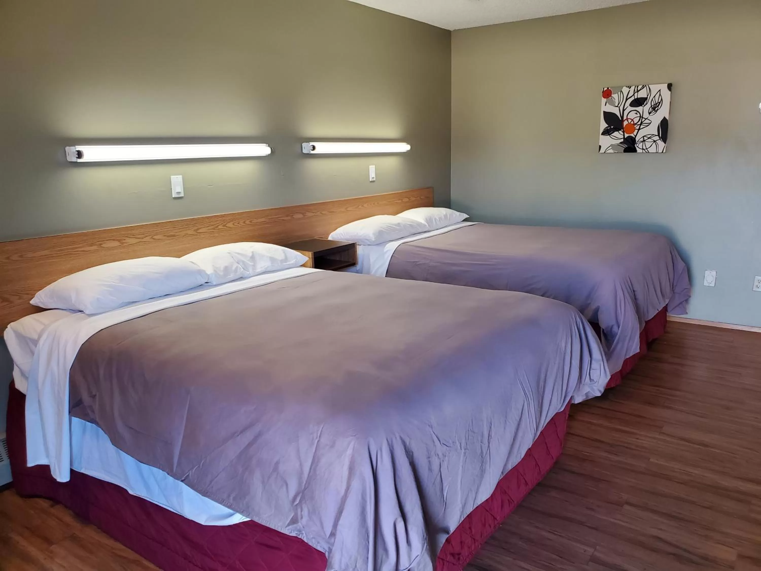 Bed in Stars Inn - Motel