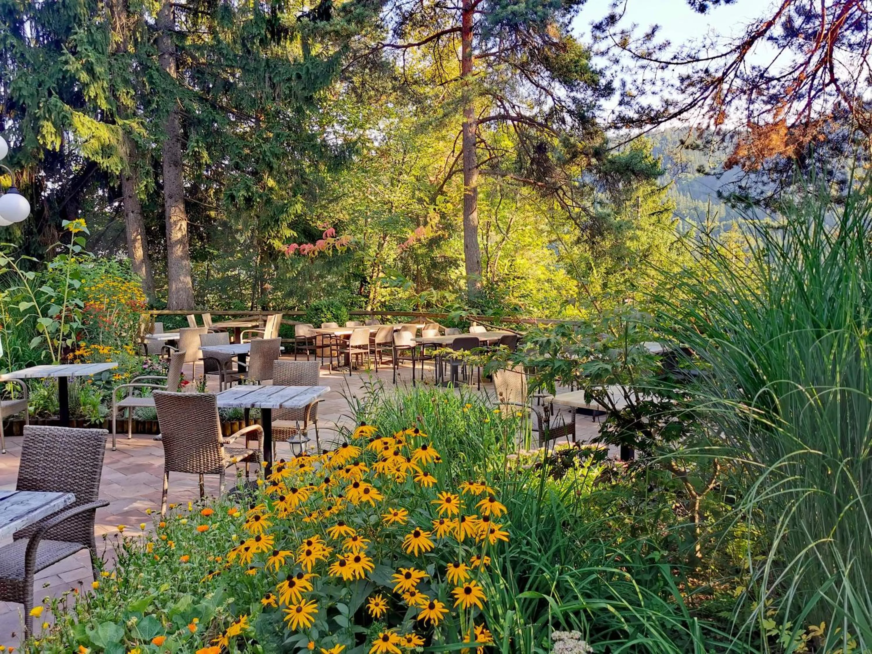 Property building in Ribno Alpine Hotel