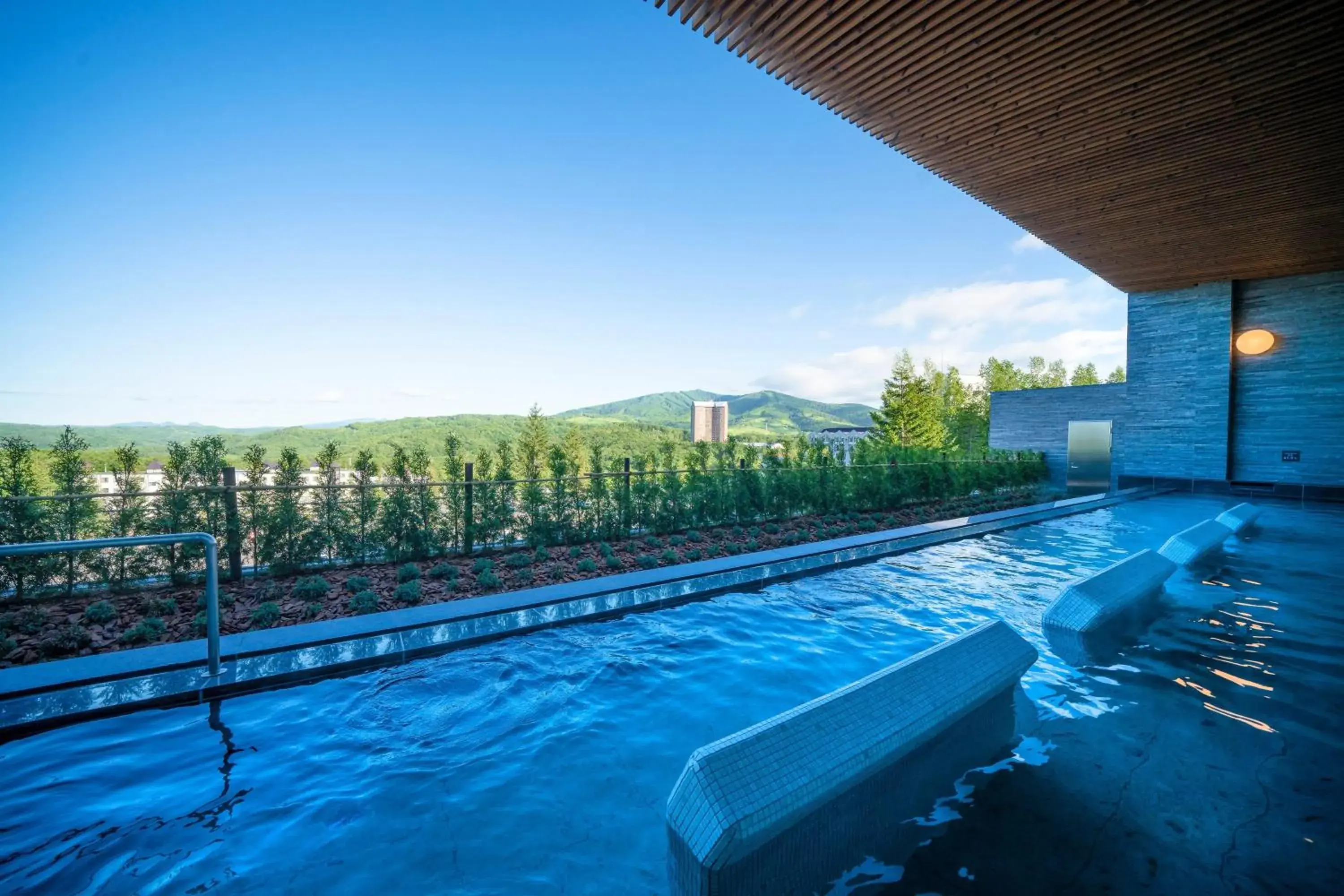 Spa and wellness centre/facilities, Swimming Pool in The Westin Rusutsu Resort