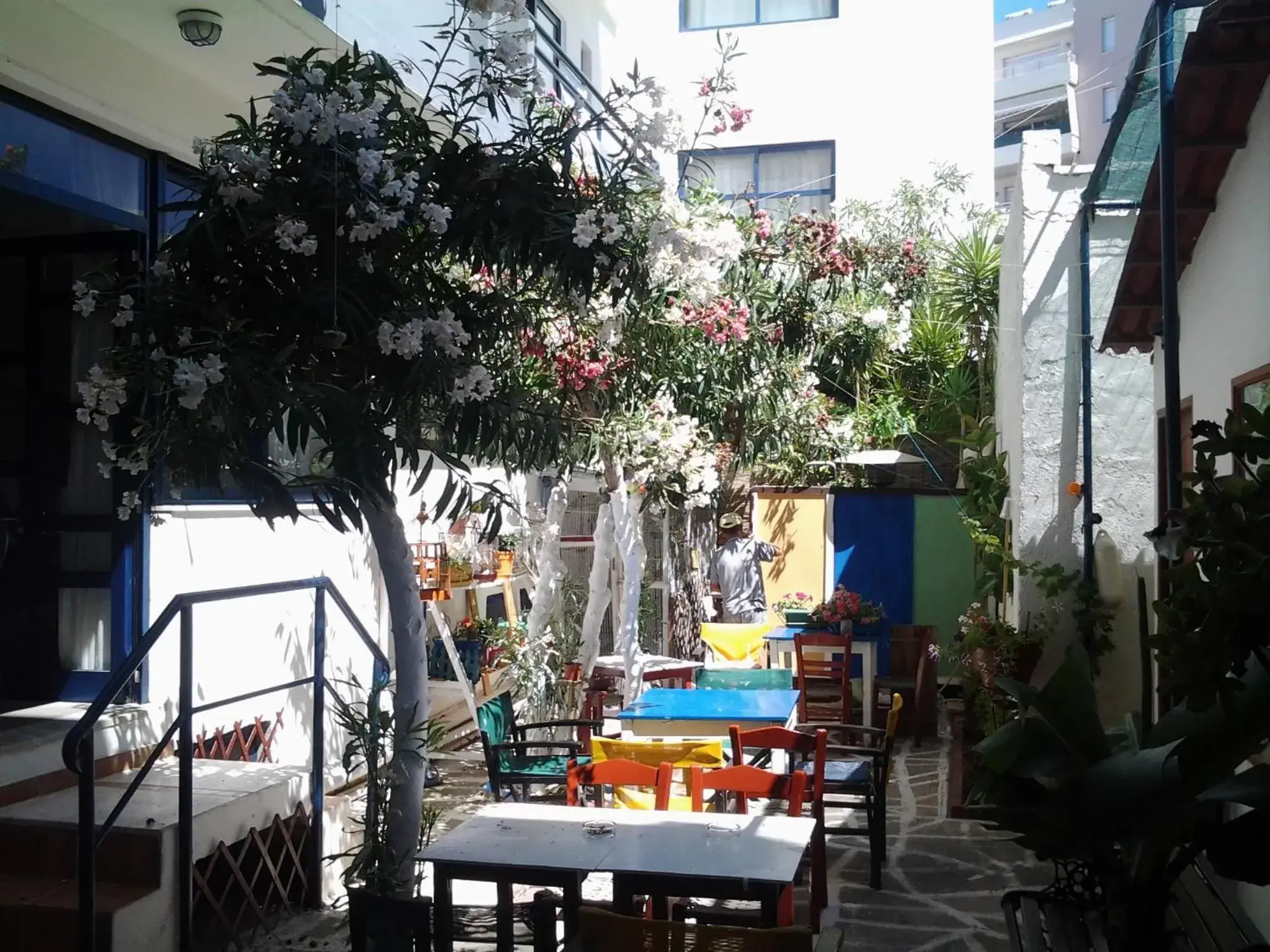 Garden, Restaurant/Places to Eat in Danaos Hotel