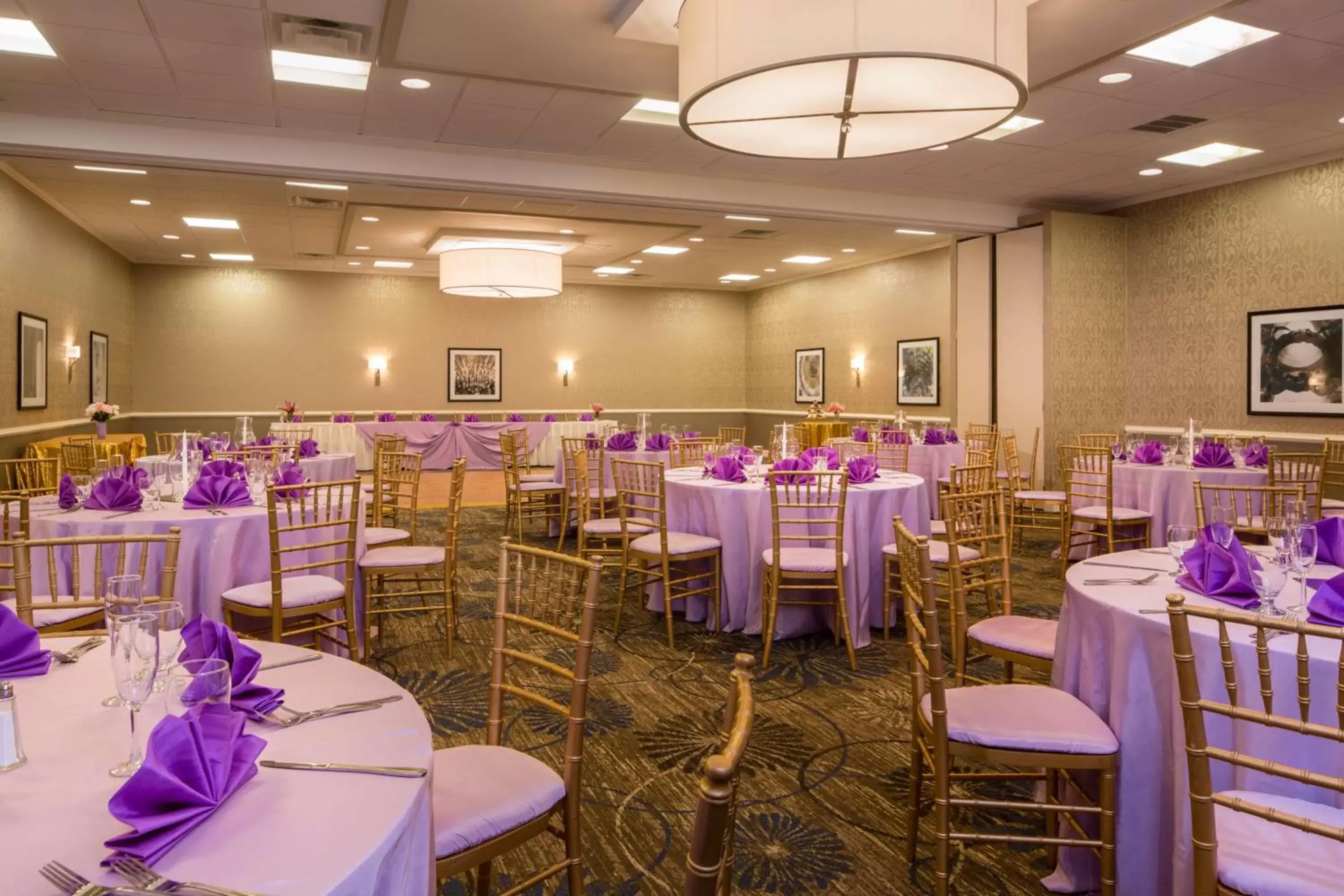 Meeting/conference room, Restaurant/Places to Eat in Doubletree by Hilton Laurel, MD