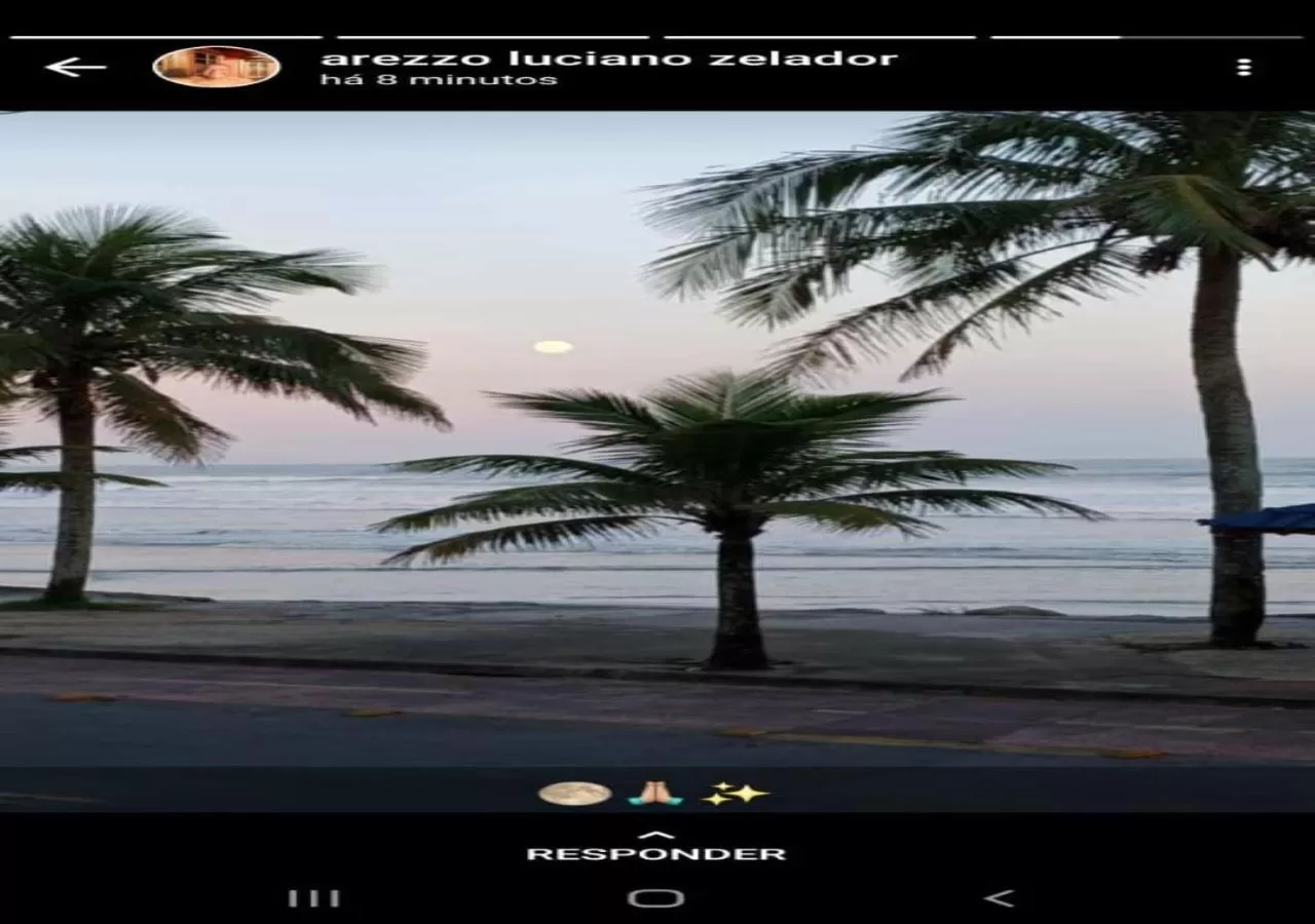 Natural landscape in Hotel Alaska