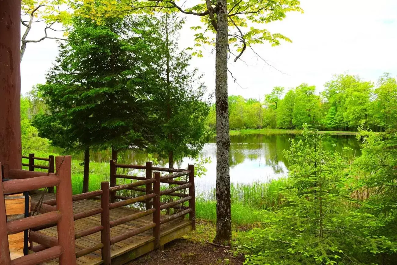 View (from property/room) in Drummond Island Resort & Conference Center