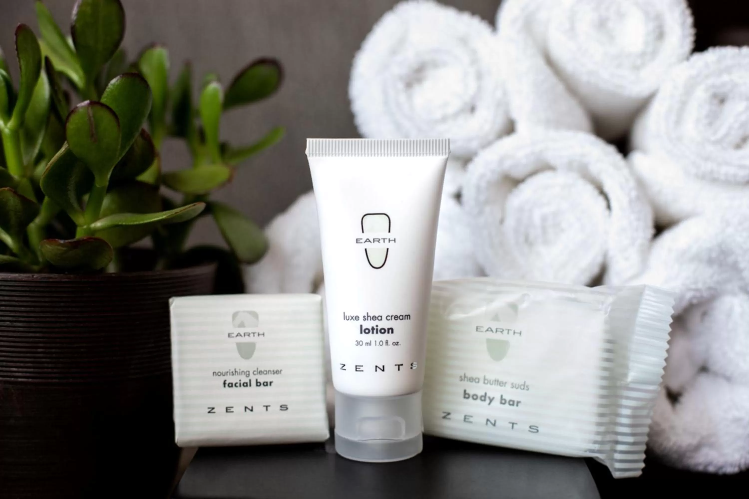 King Room - Disability Access in Ascent on Main