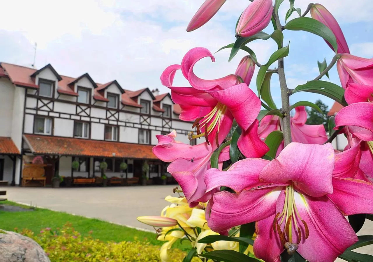 Property building in Ziołowa Dolina