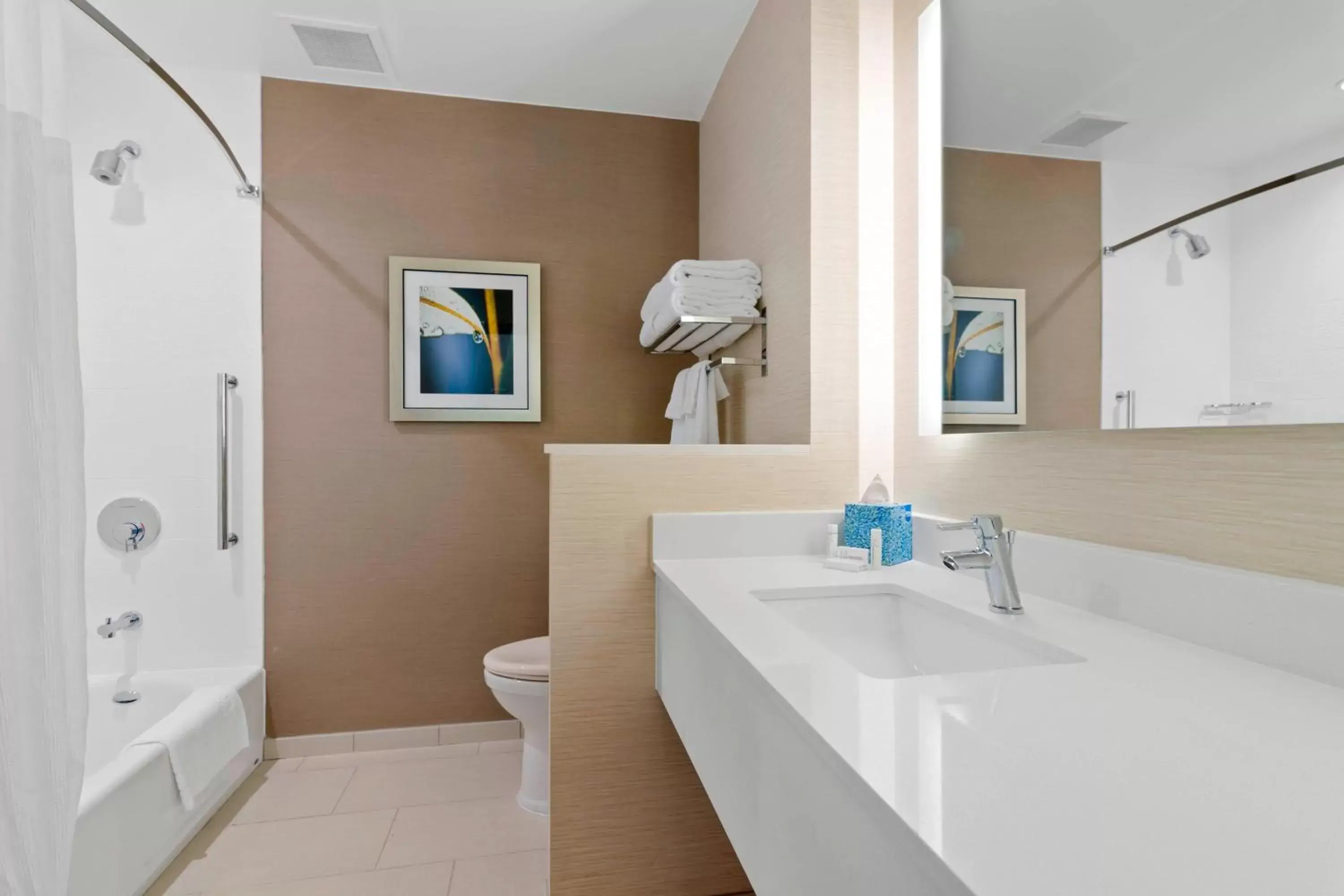 Bathroom in Fairfield Inn & Suites by Marriott St Petersburg North