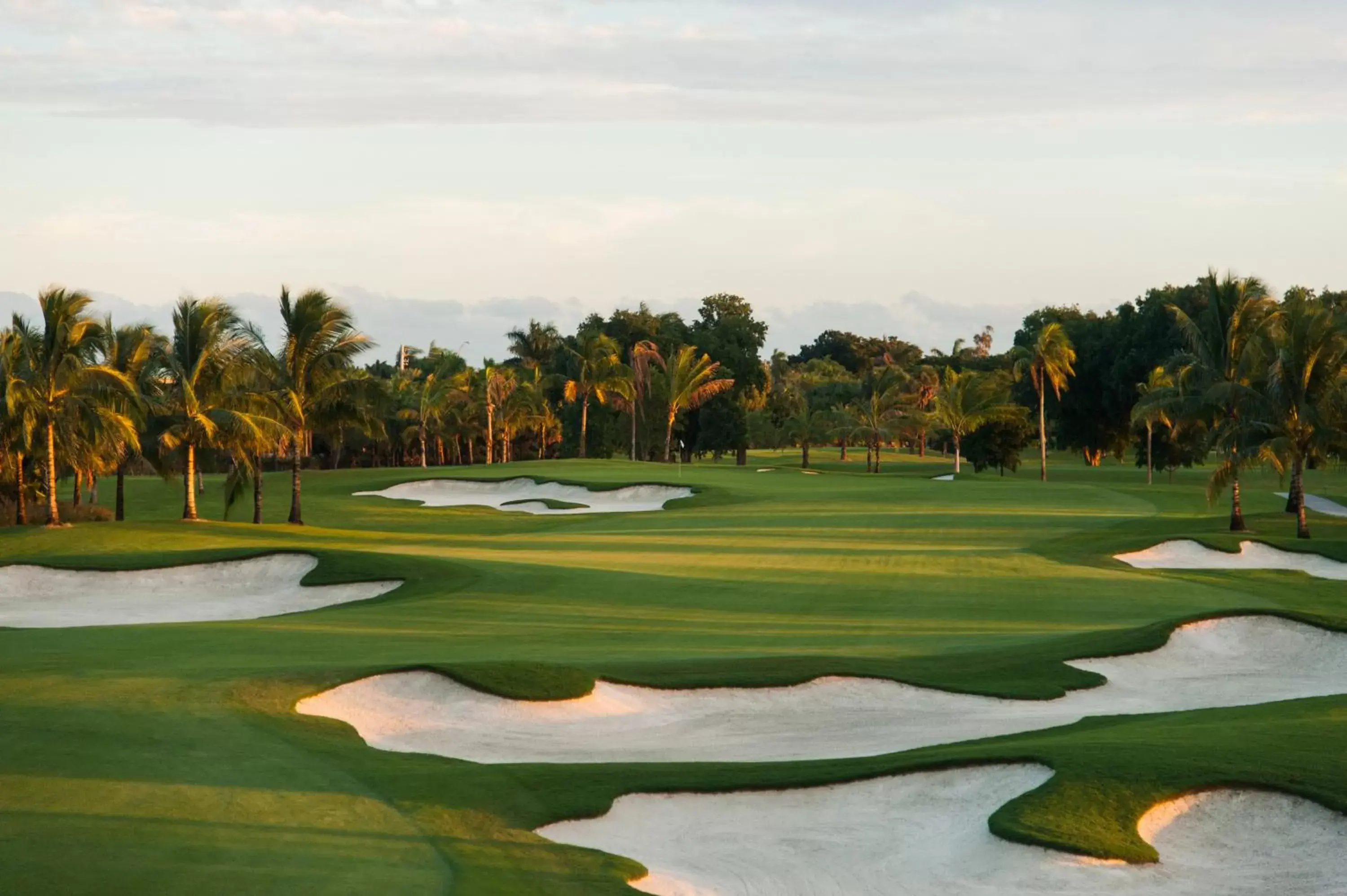 Golfcourse, Golf in Trump National Doral Golf Resort